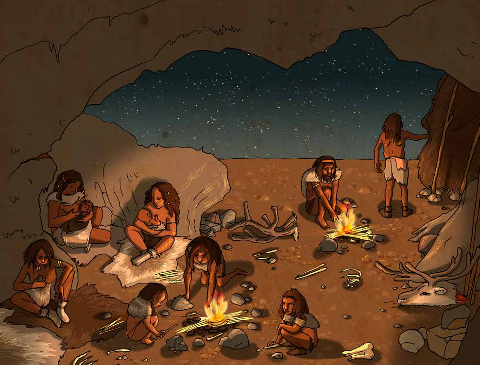 UNE ANNEE AVEC SAPIENS