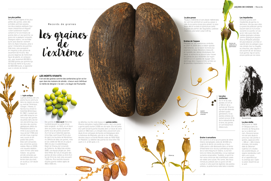 GRAINES : TOUS LES SAVOIRS, TOUTES LES HISTOIRES, TOUS LES POUVOIRS, TOUS LES ESPOIRS