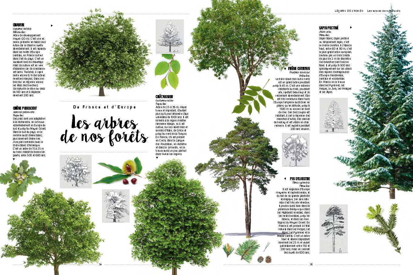 ARBRES : TOUS LES SAVOIRS, TOUTES LES HISTOIRES, TOUS LES POUVOIRS, TOUS LES ESPOIRS