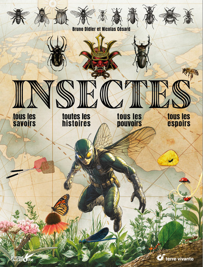 INSECTES INSECTES