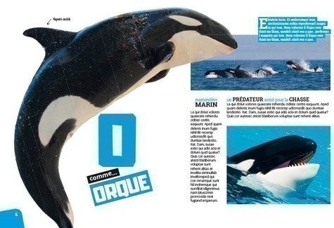 ABC DES ANIMAUX