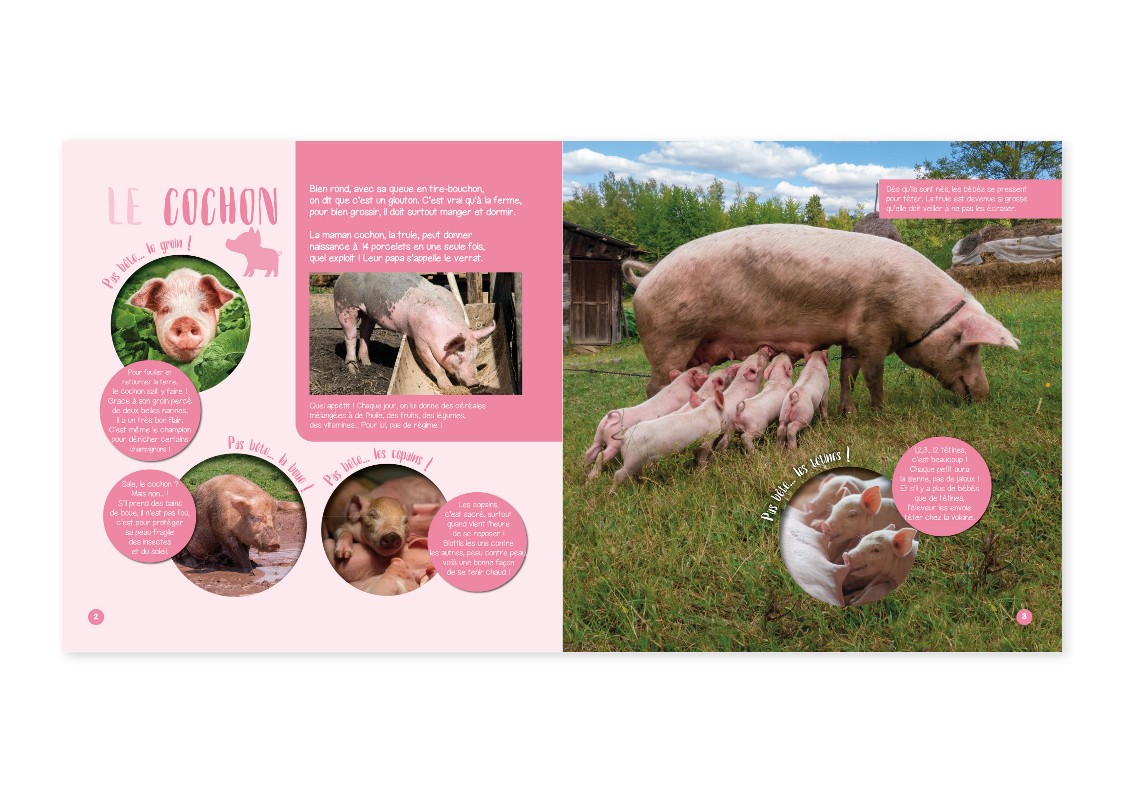 PAS BETES ANIMAUX DE LA FERME