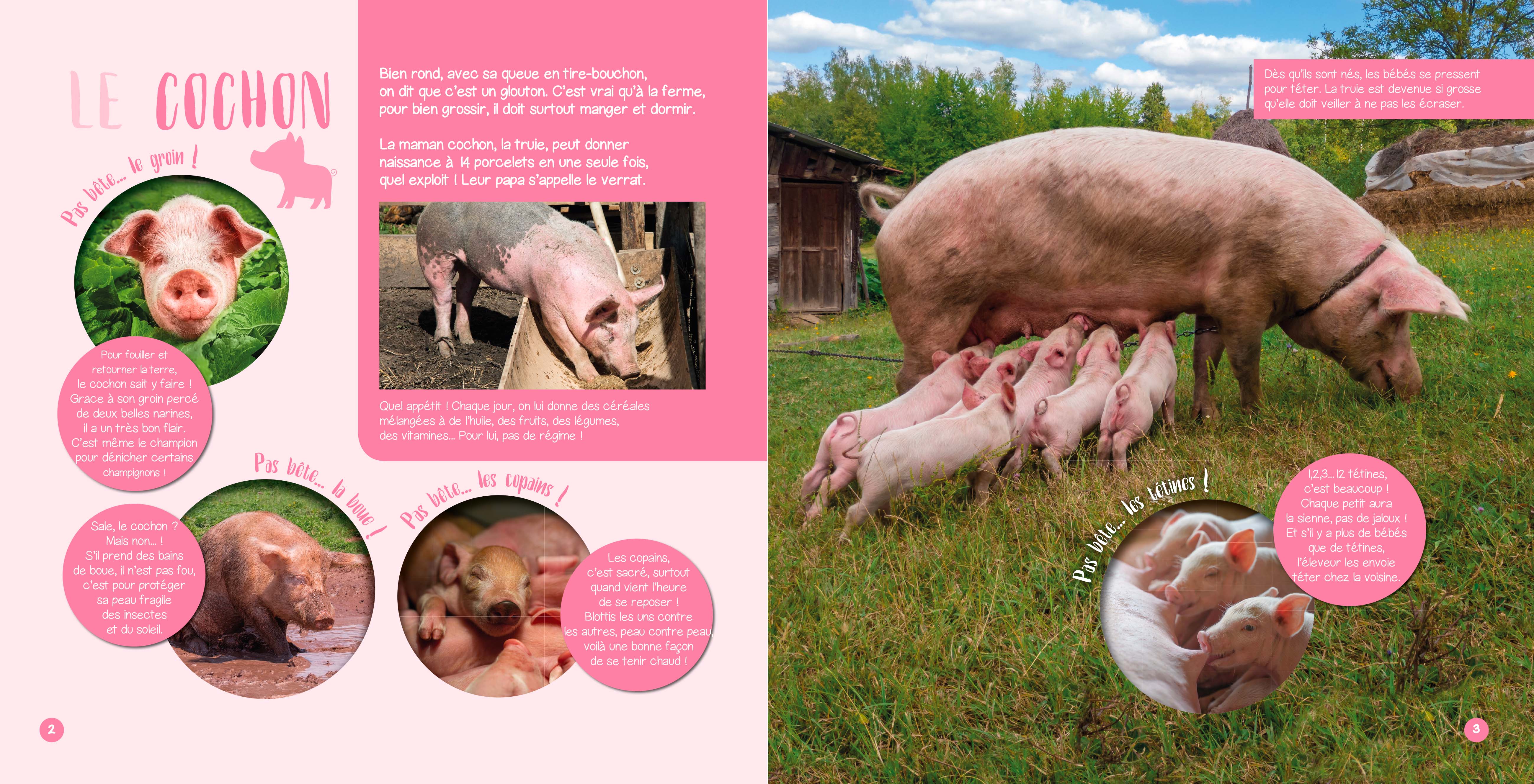 PAS BETES ANIMAUX DE LA FERME
