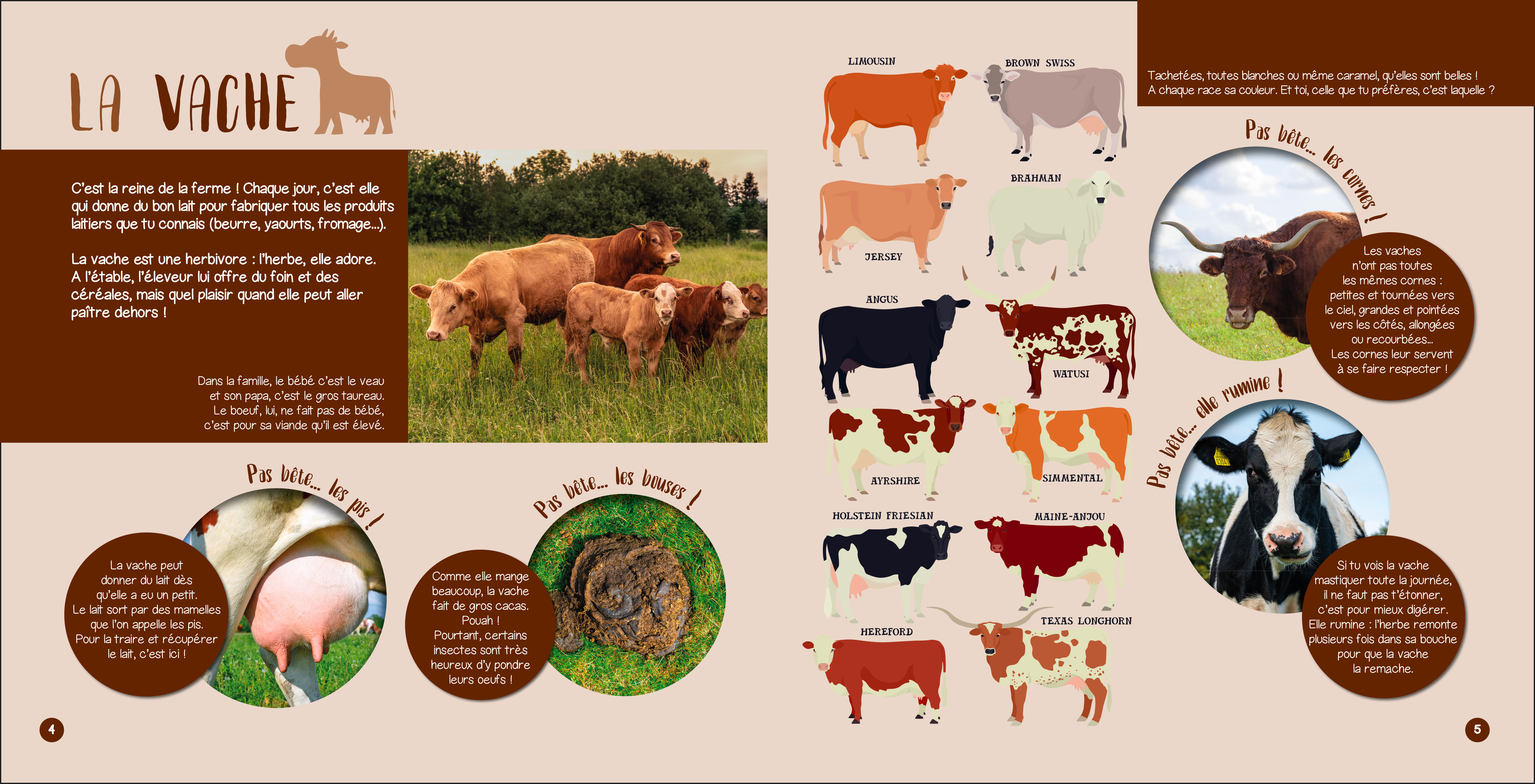 PAS BETES ANIMAUX DE LA FERME