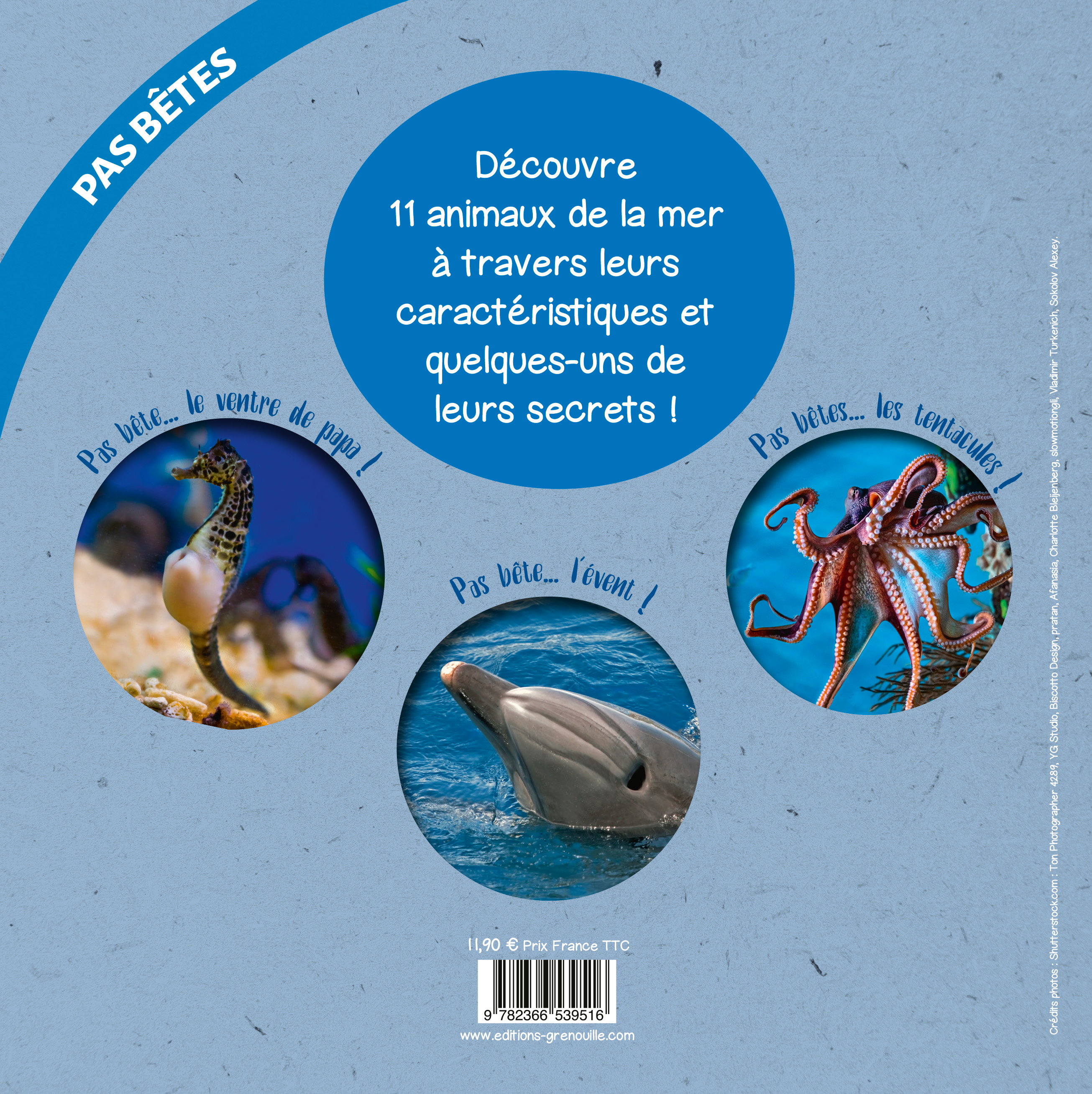LES ANIMAUX DE LA MER 