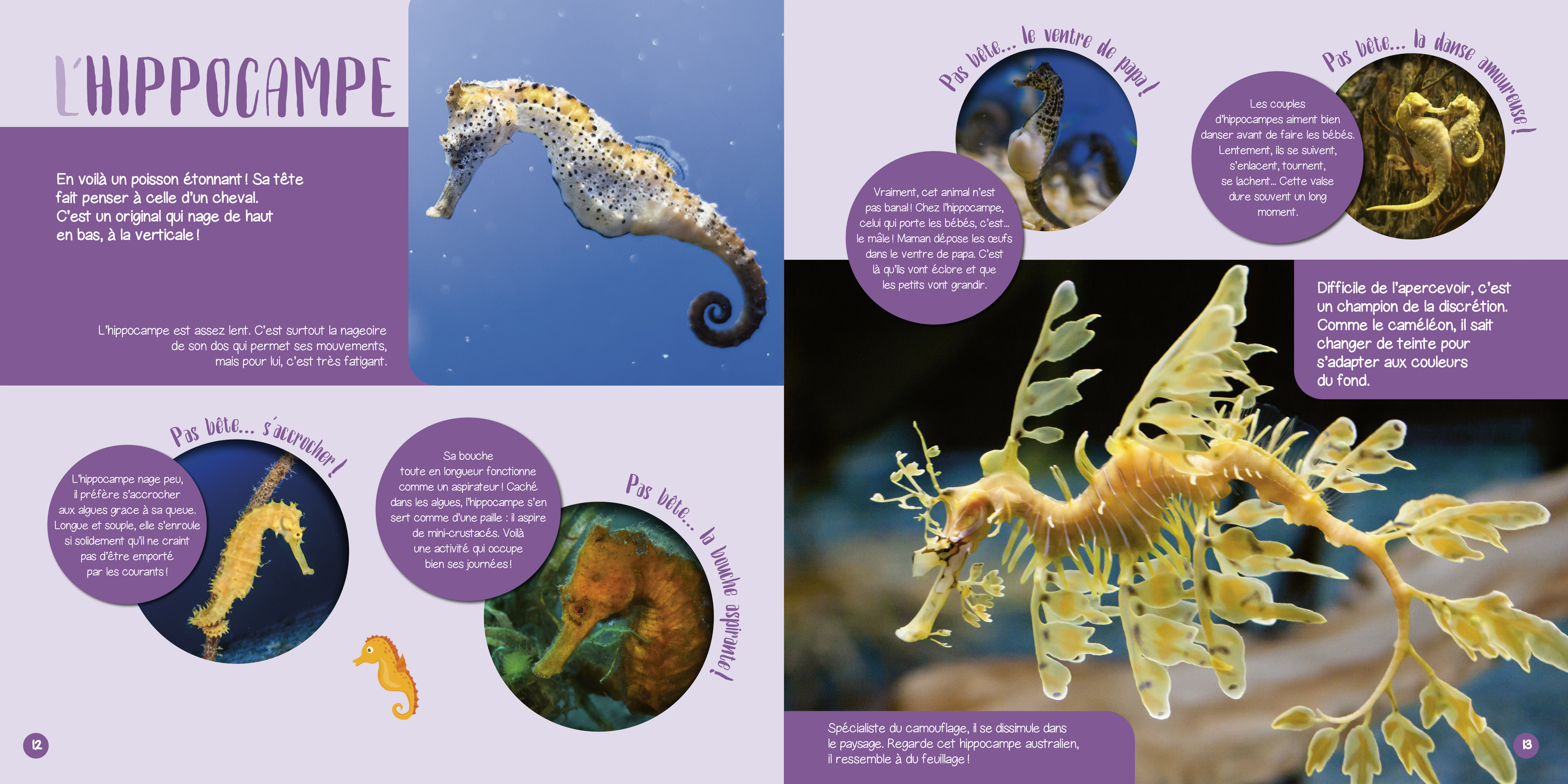 LES ANIMAUX DE LA MER 