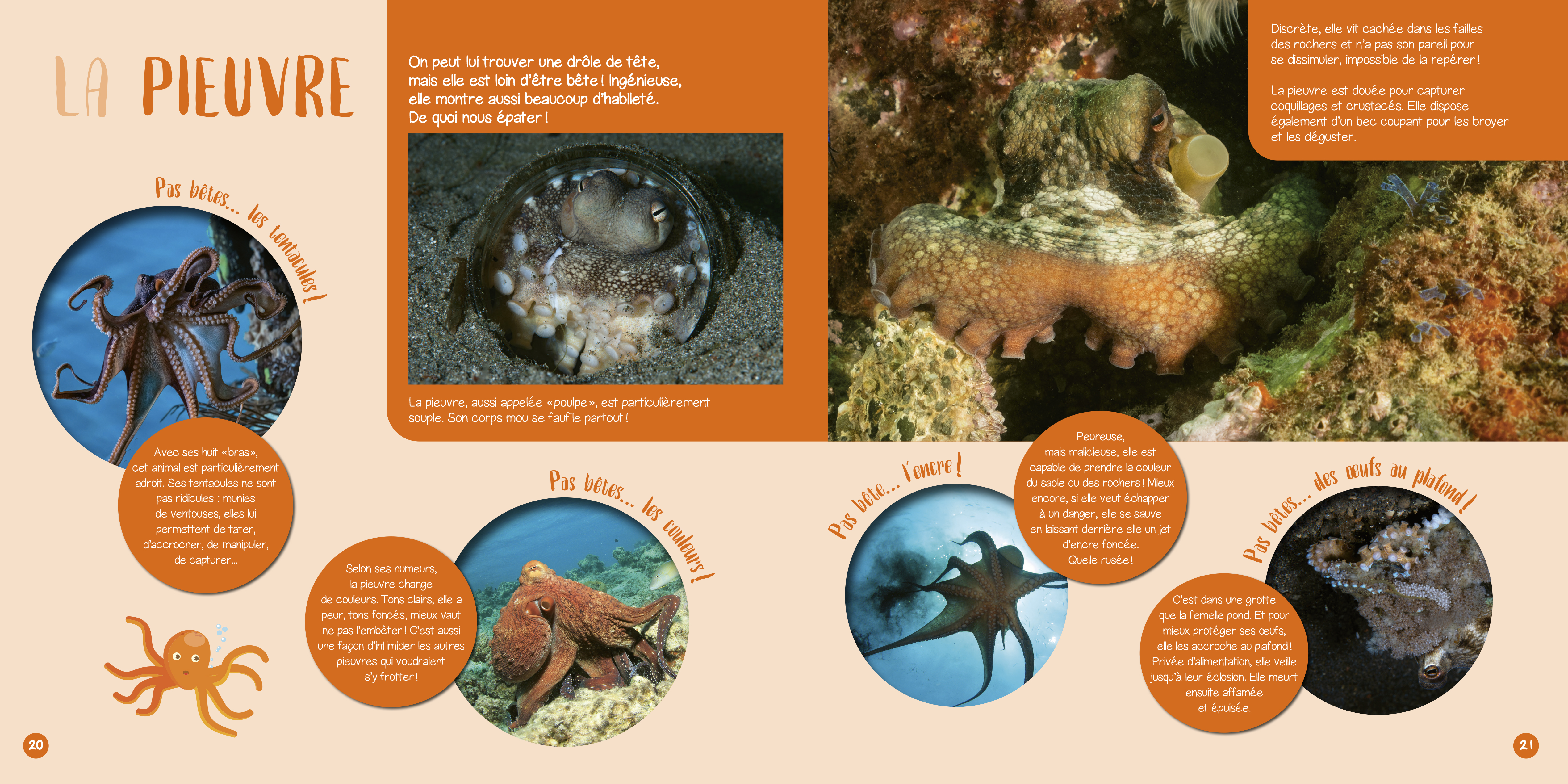 LES ANIMAUX DE LA MER 
