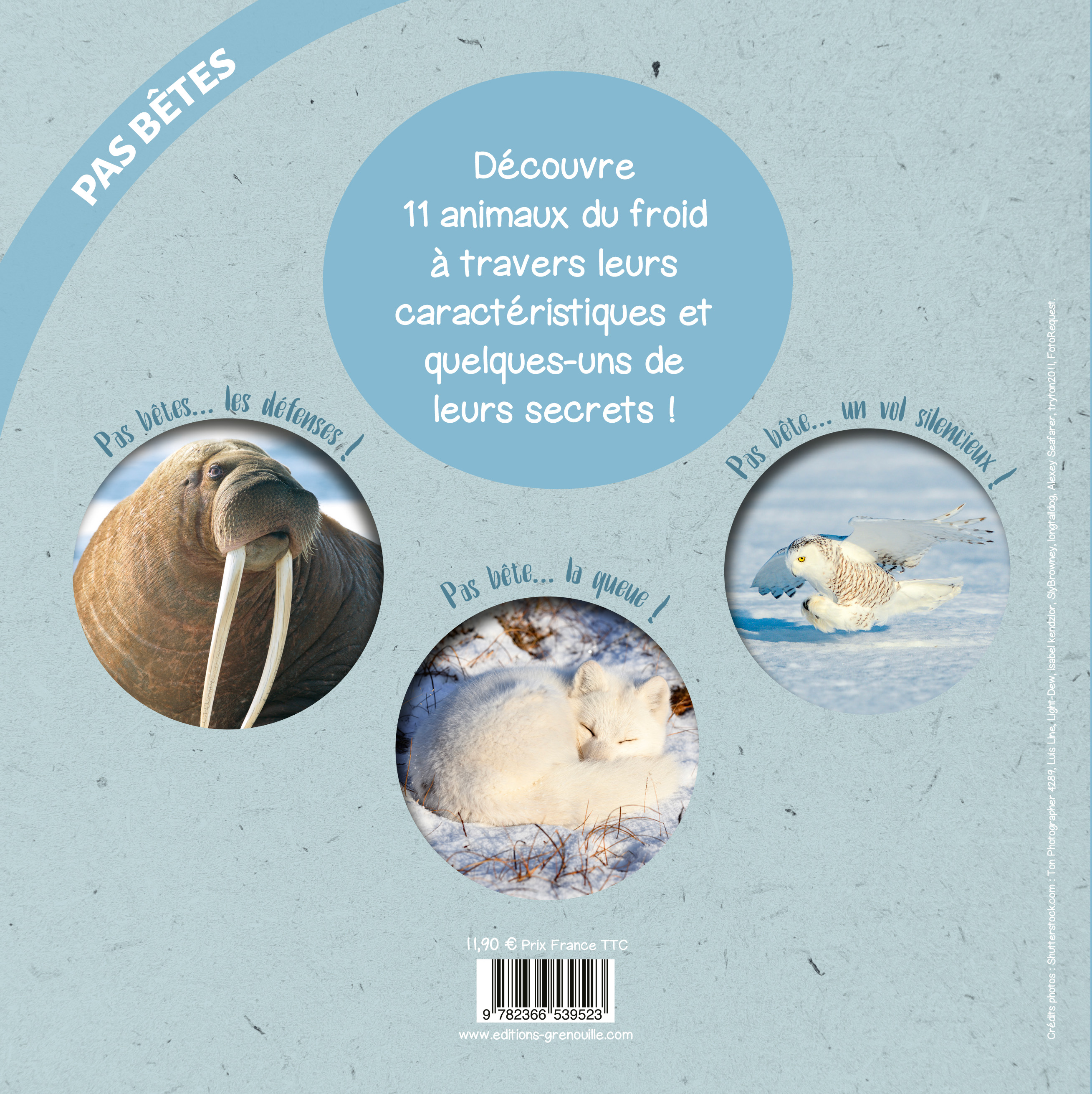 LES ANIMAUX DU FROID