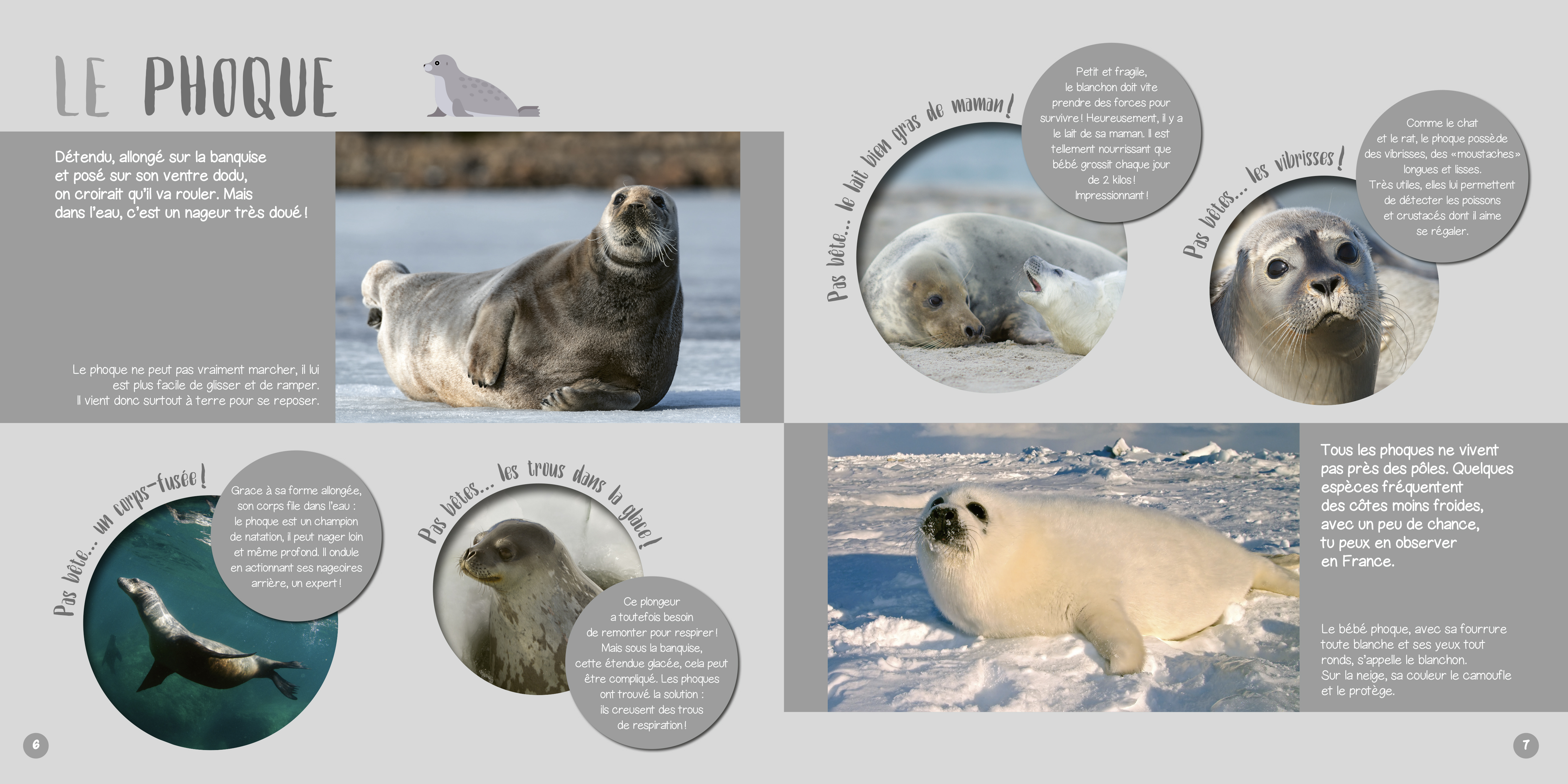 LES ANIMAUX DU FROID