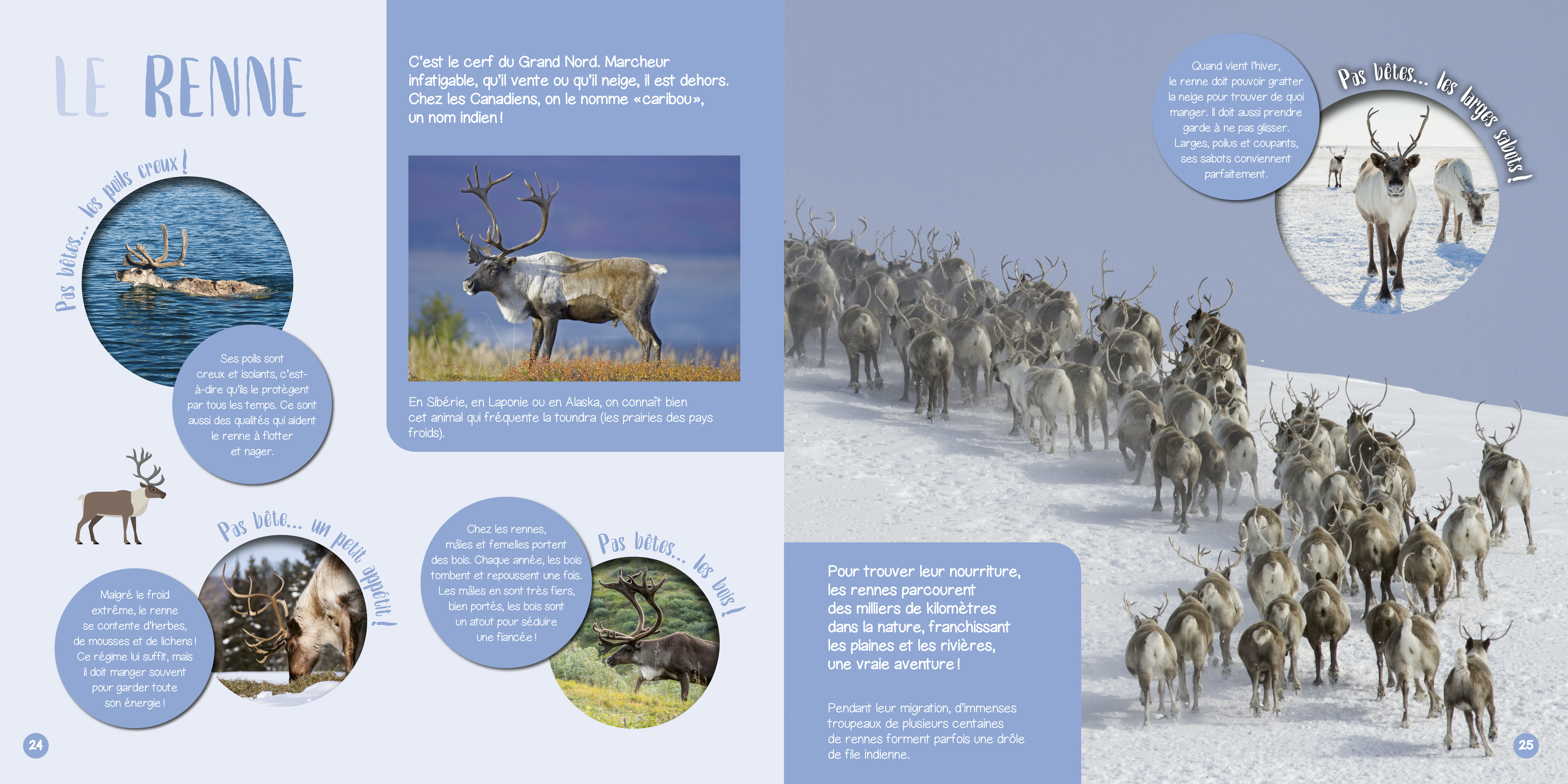 LES ANIMAUX DU FROID
