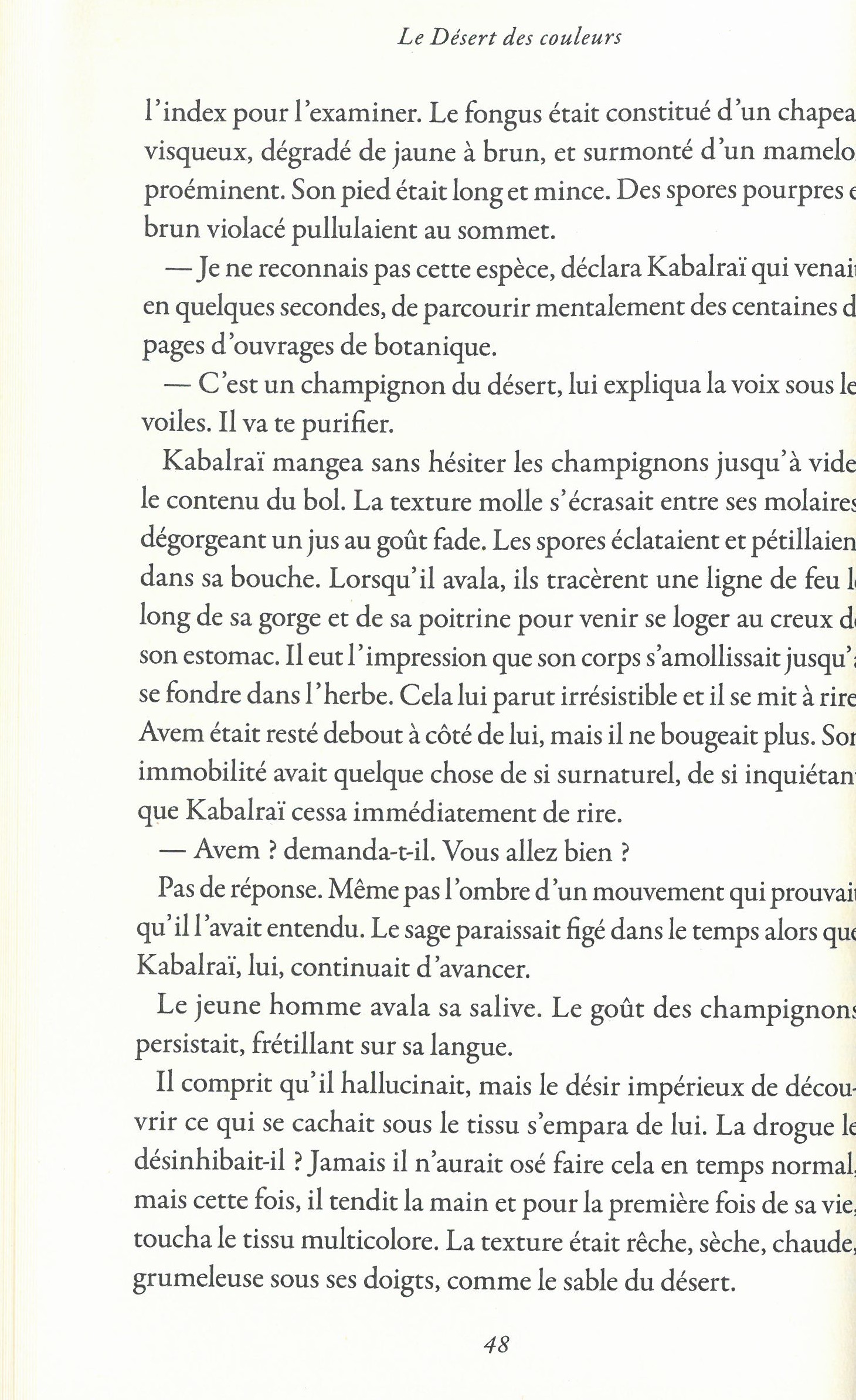 LE DESERT DES COULEURS