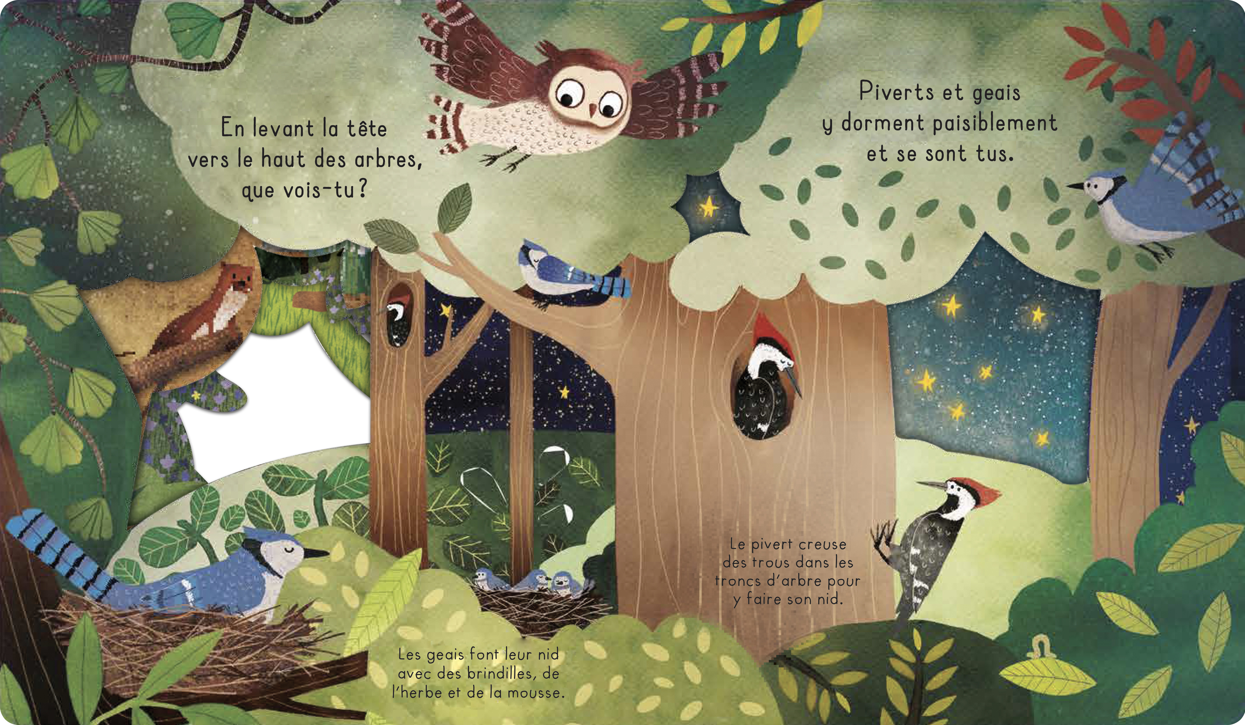 BONNE NUIT, LA FORET !