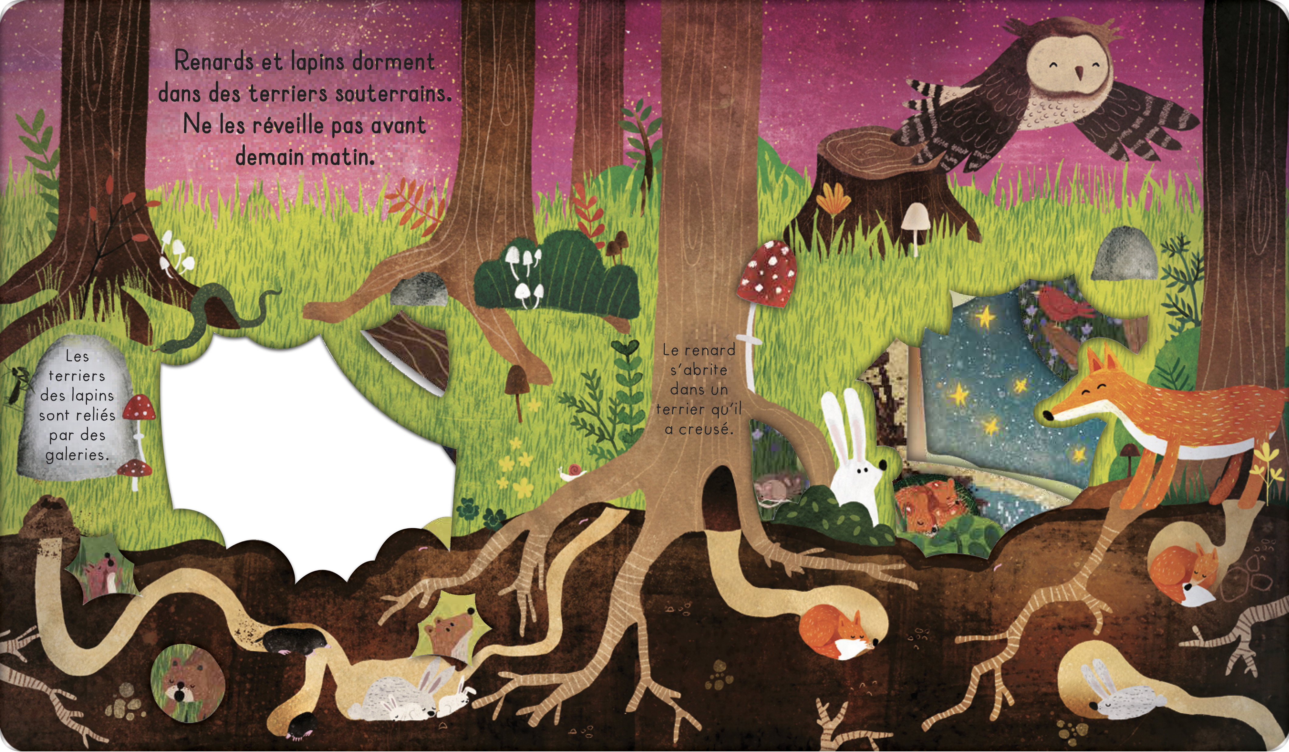 BONNE NUIT, LA FORET !