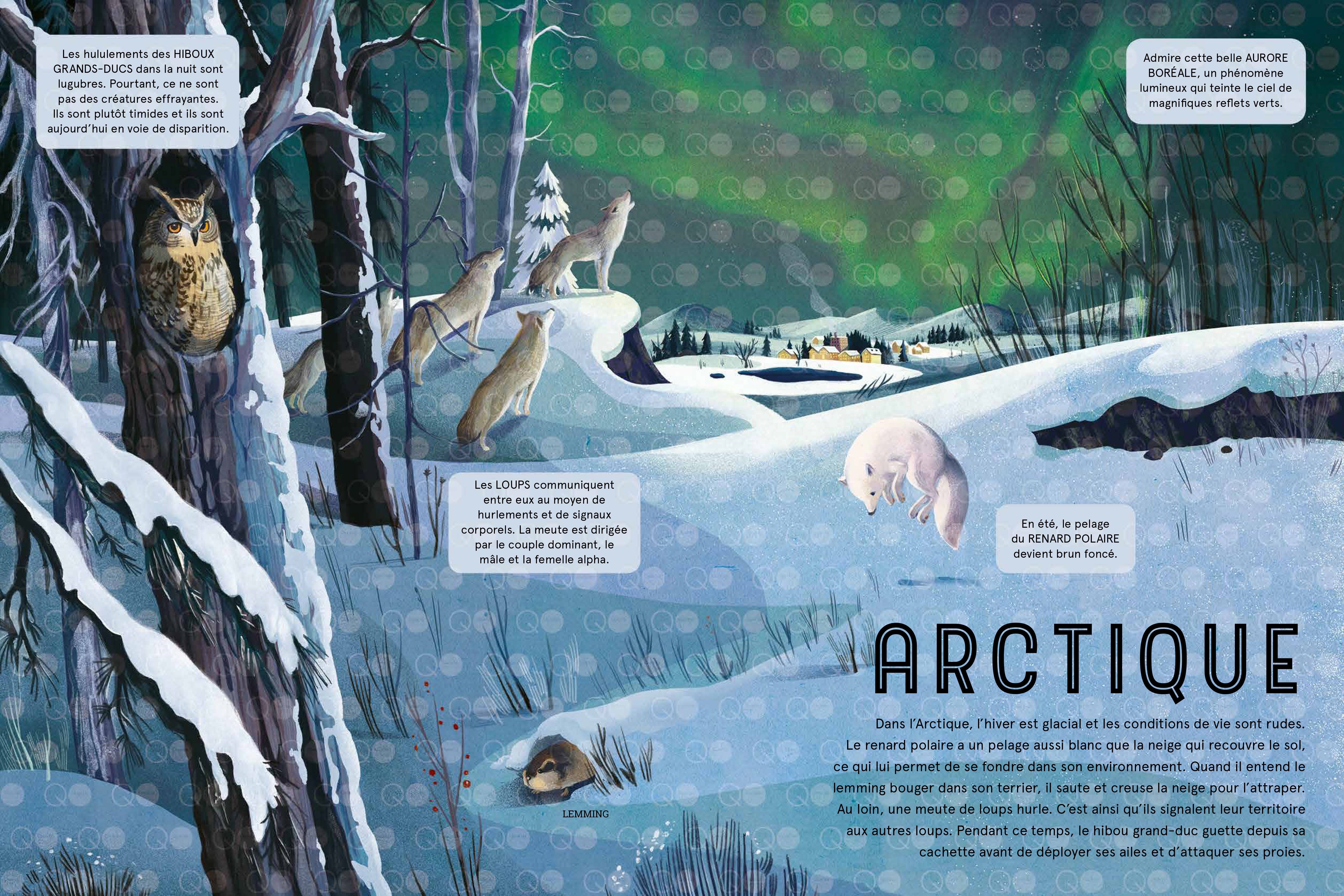 LES ANIMAUX DE LA NUIT