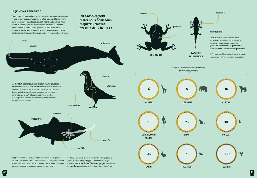 LES MYSTERES DU CORPS HUMAIN