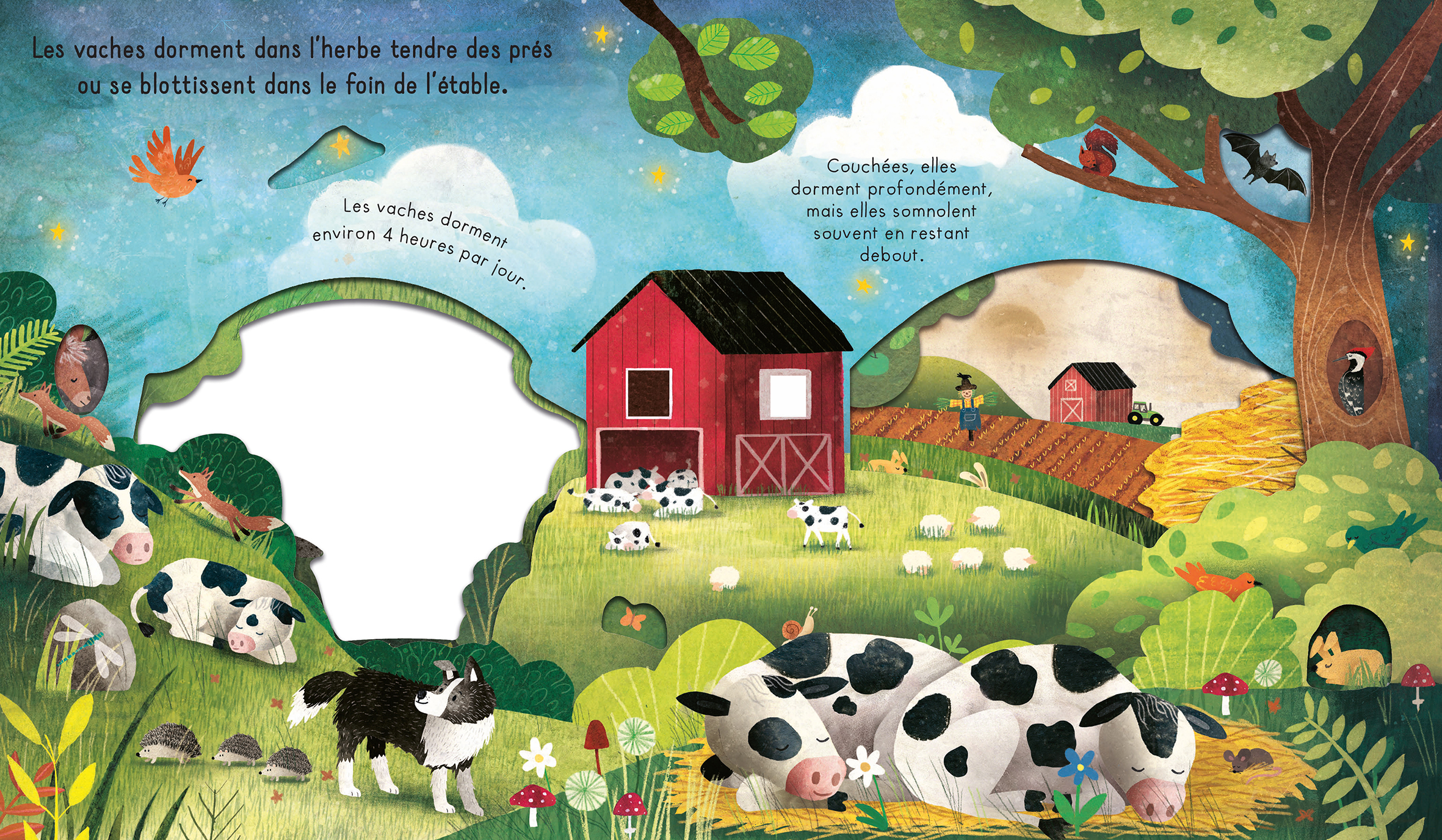 BONNE NUIT, LA FERME !