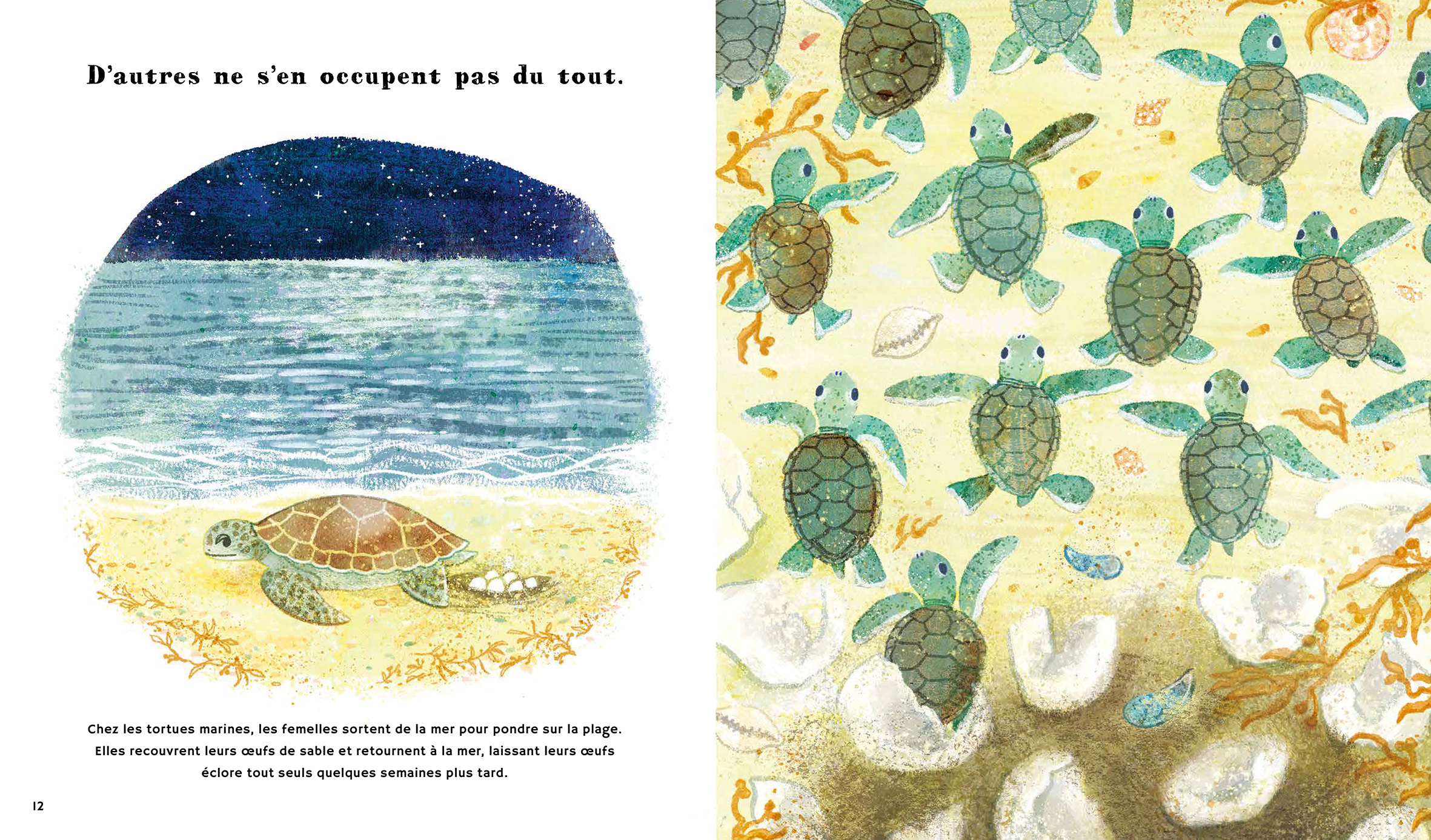 LE MONDE DES BEBES ANIMAUX