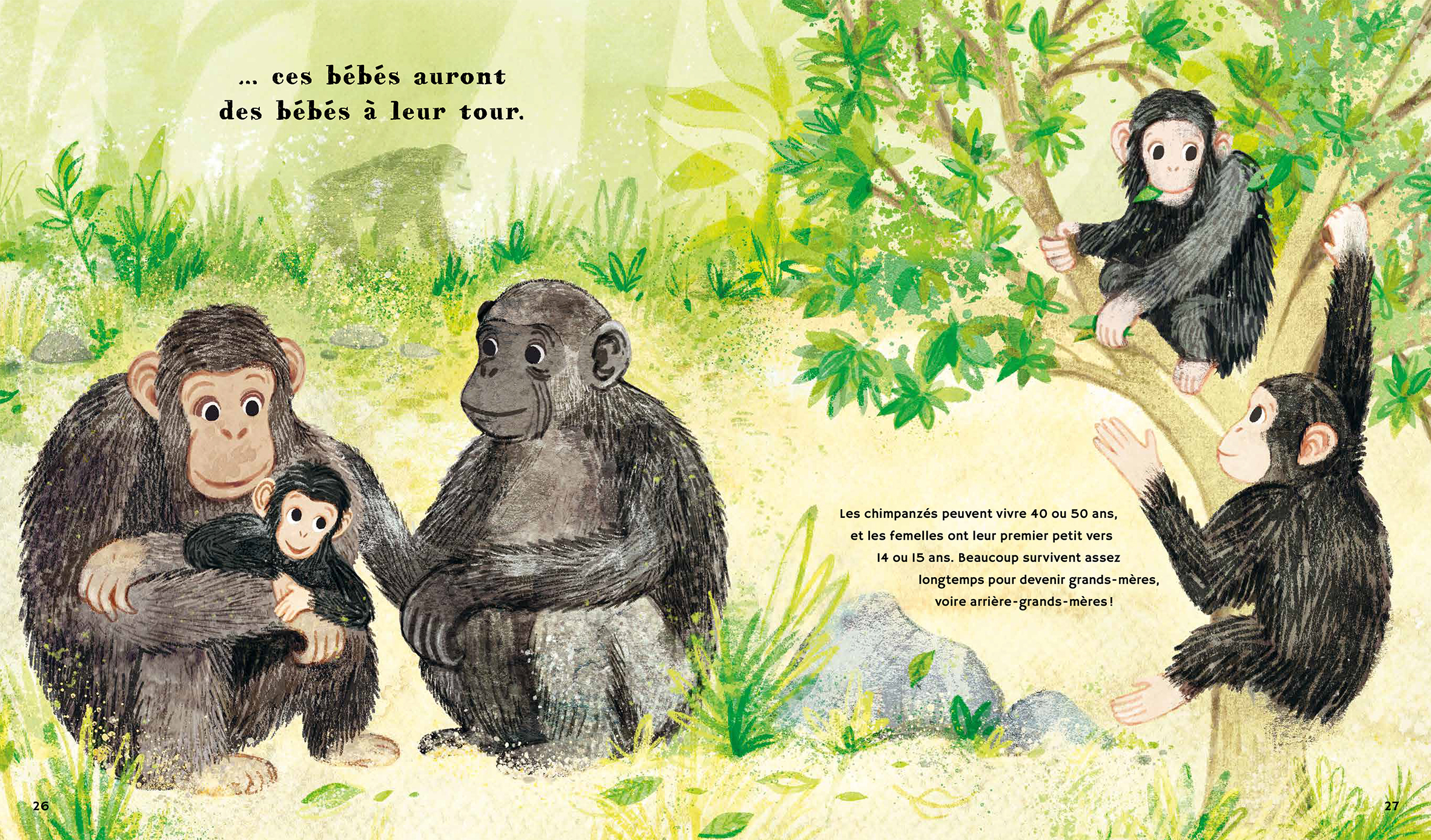 LE MONDE DES BEBES ANIMAUX