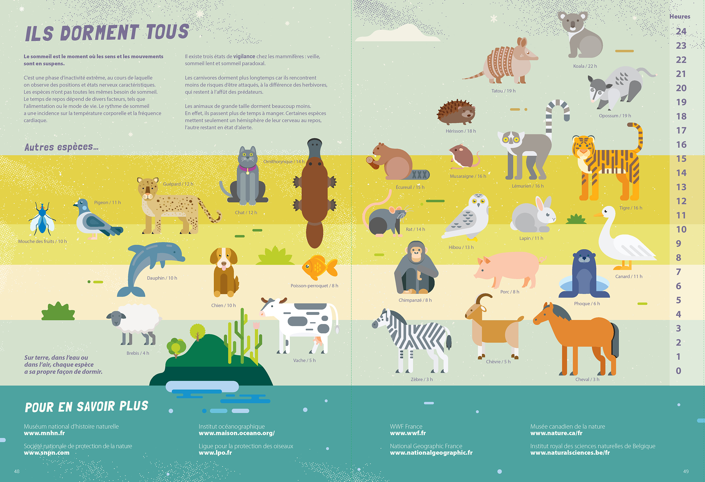 LES ANIMAUX, AU DODO ! 