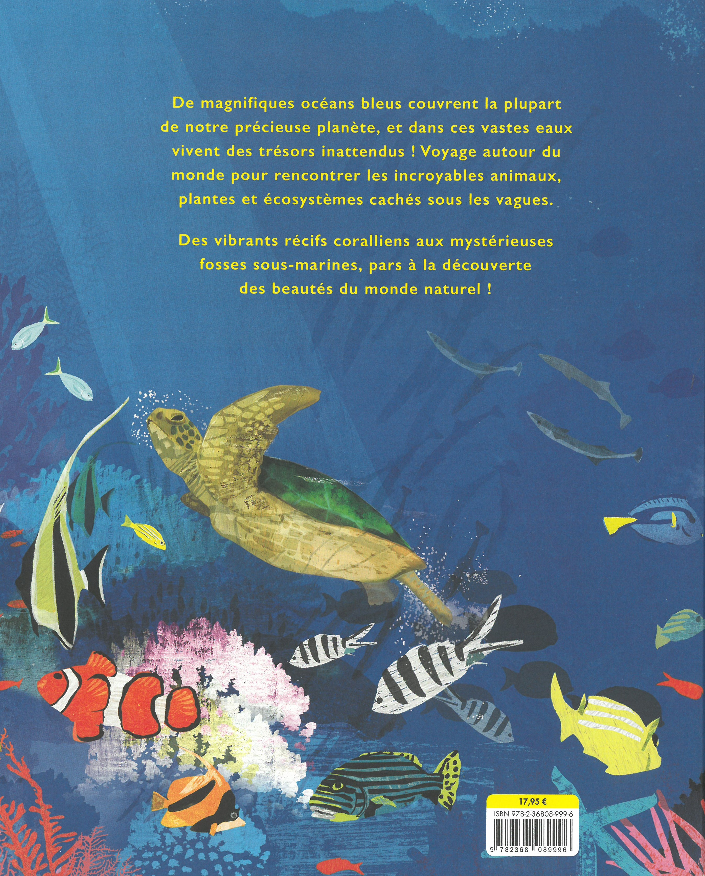 SECRETS DE NOS OCEANS 