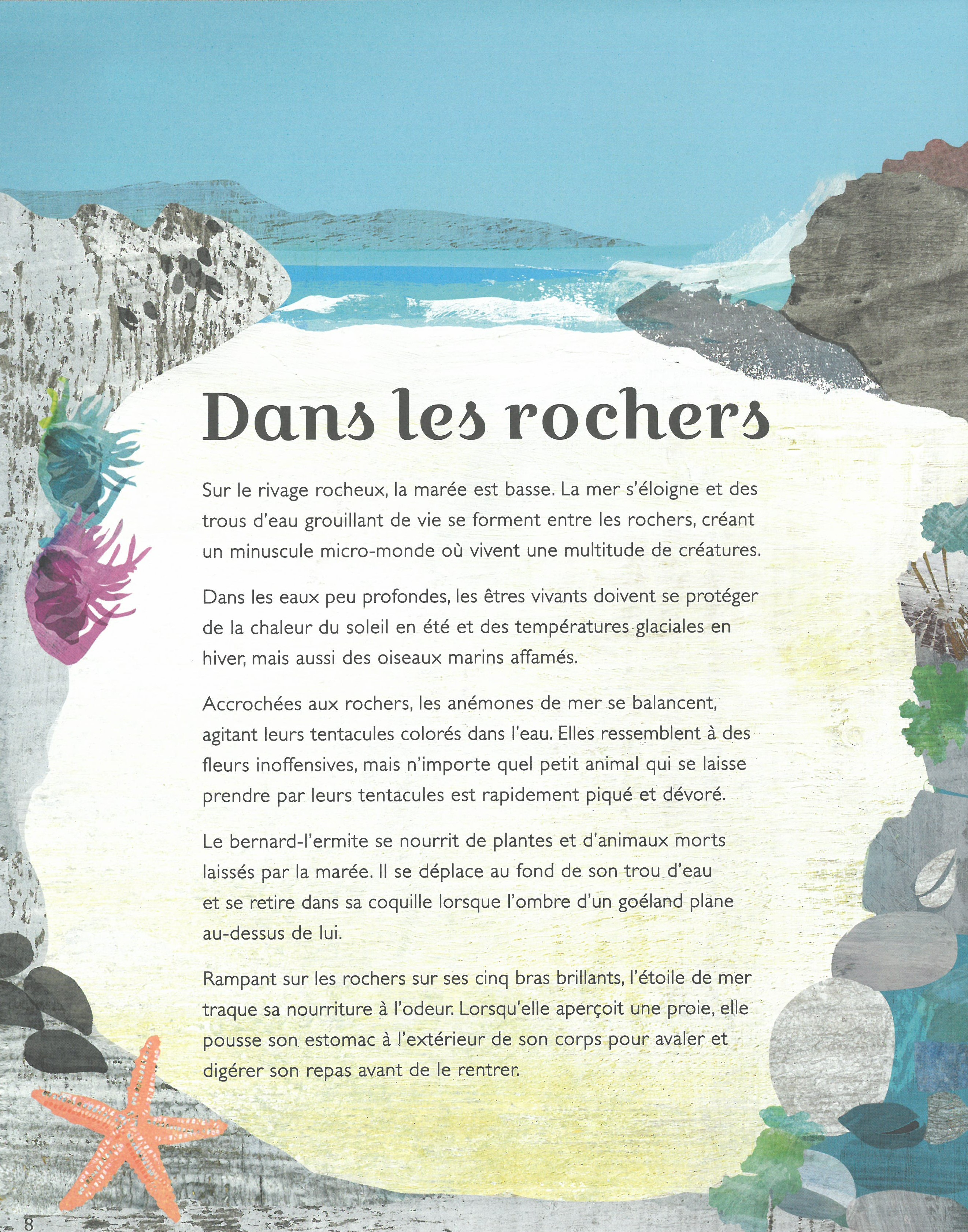 SECRETS DE NOS OCEANS 