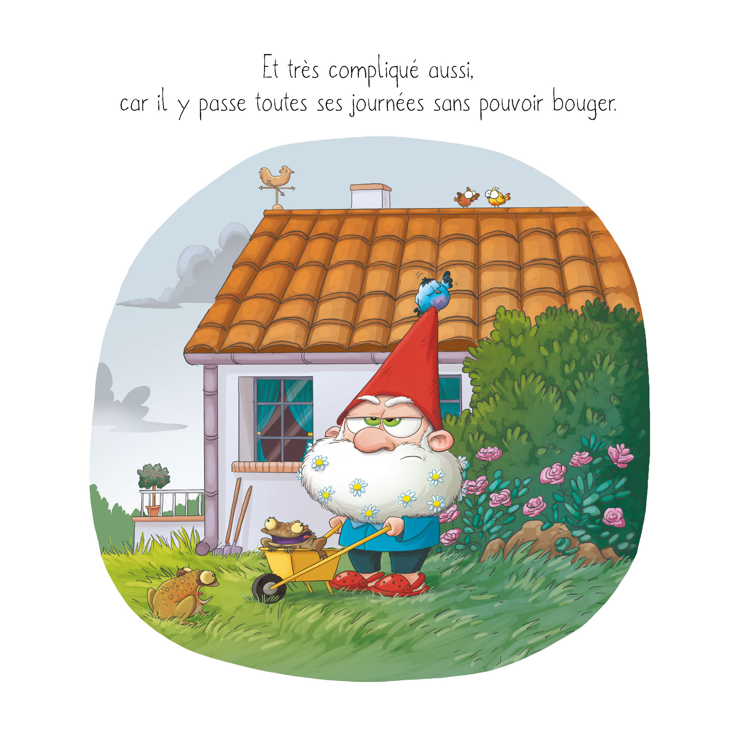 LE NAIN DE JARDIN QUI N