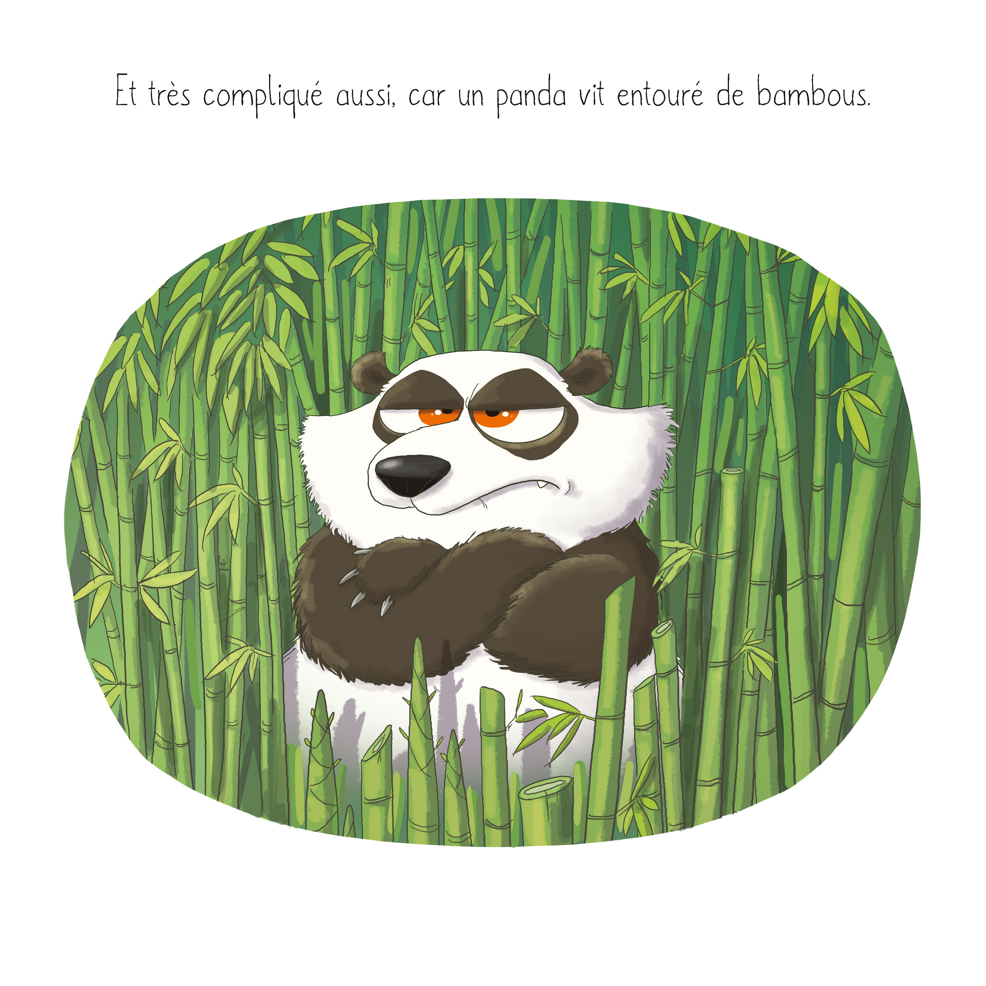 LE PANDA QUI N