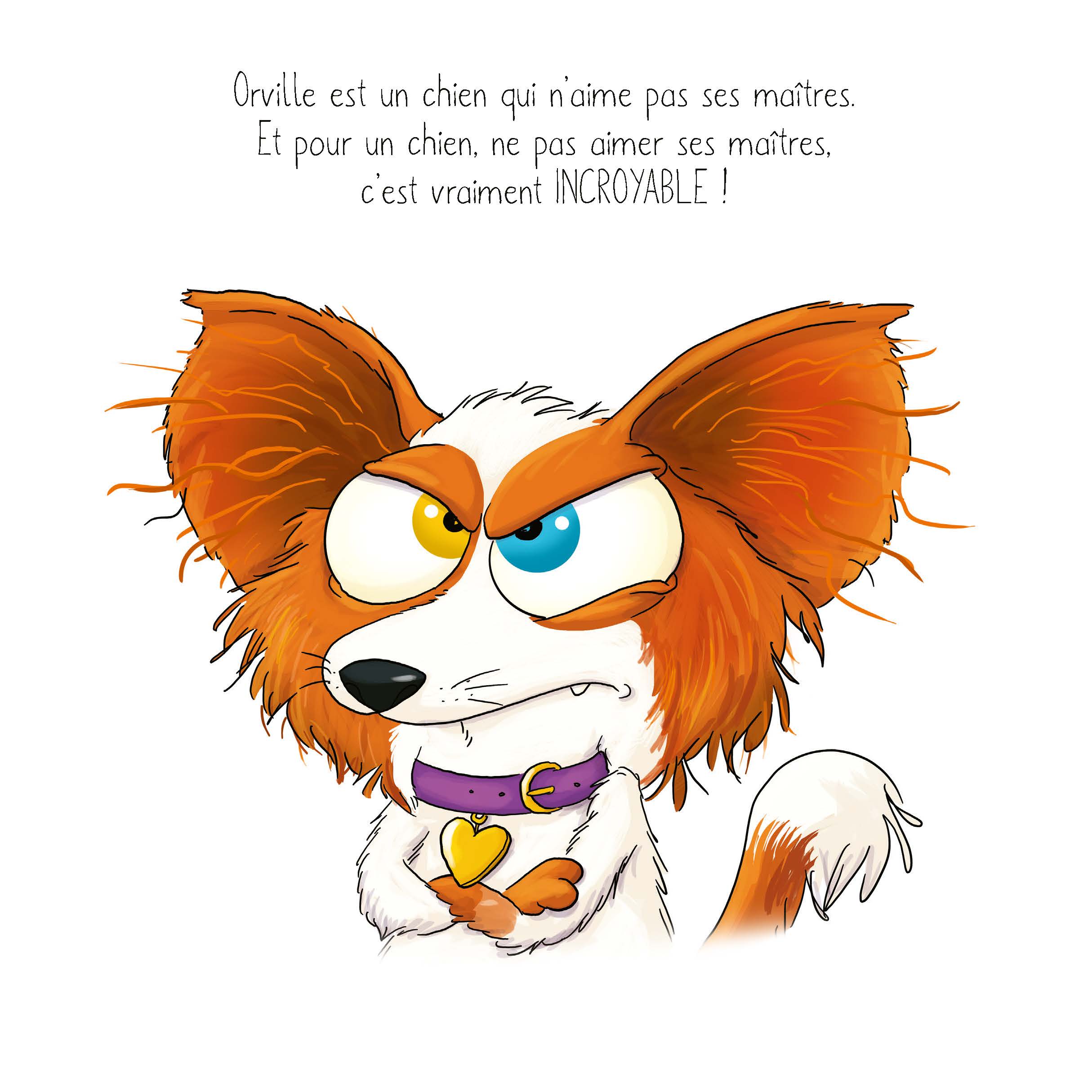 LE CHIEN QUI N