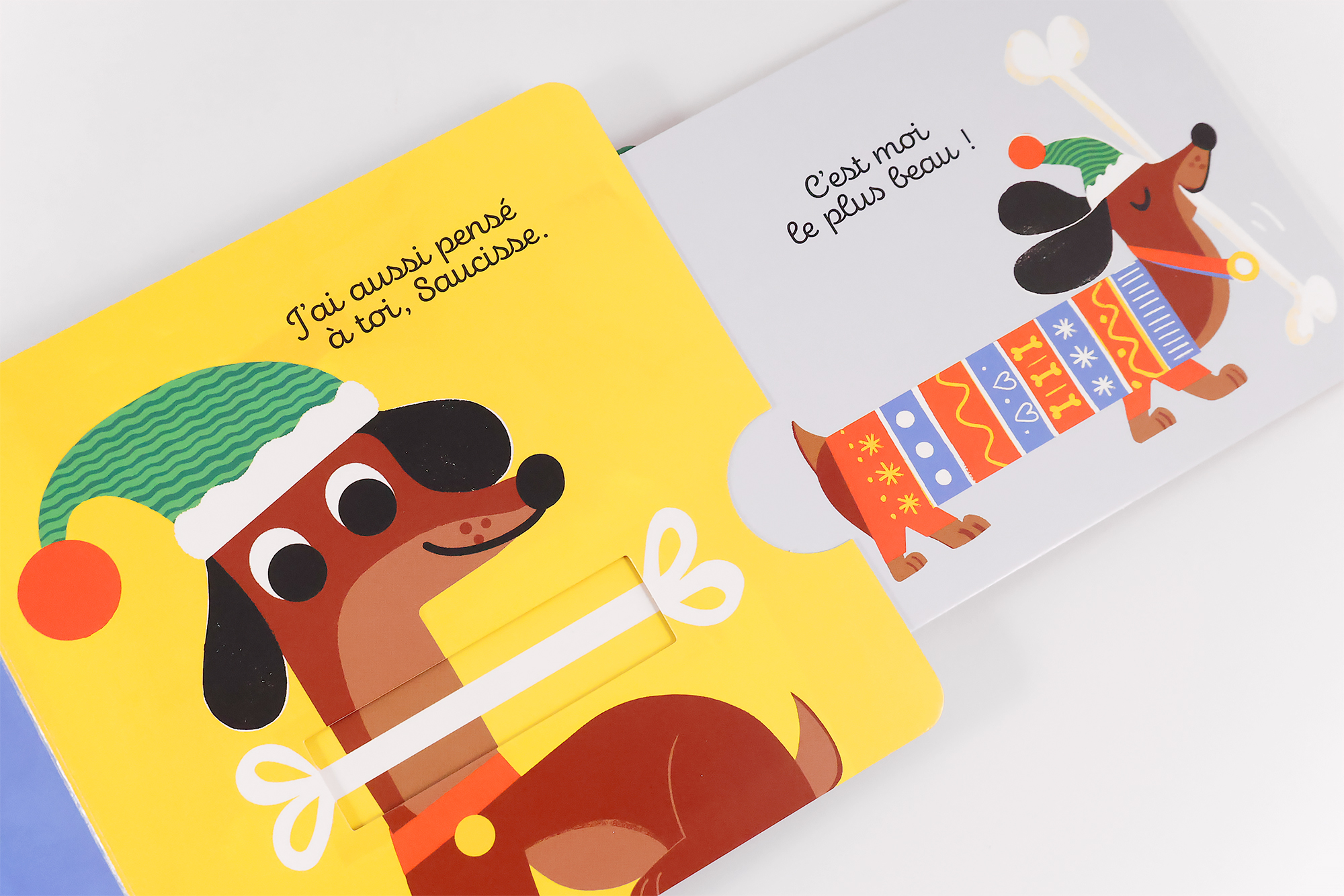 LE PERE NOEL DES ANIMAUX