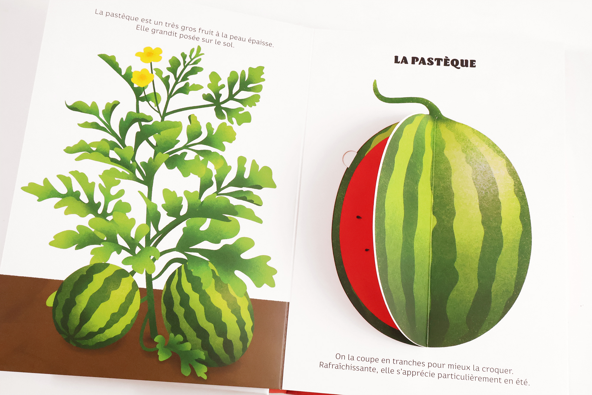 FRUITS DE SAISON
