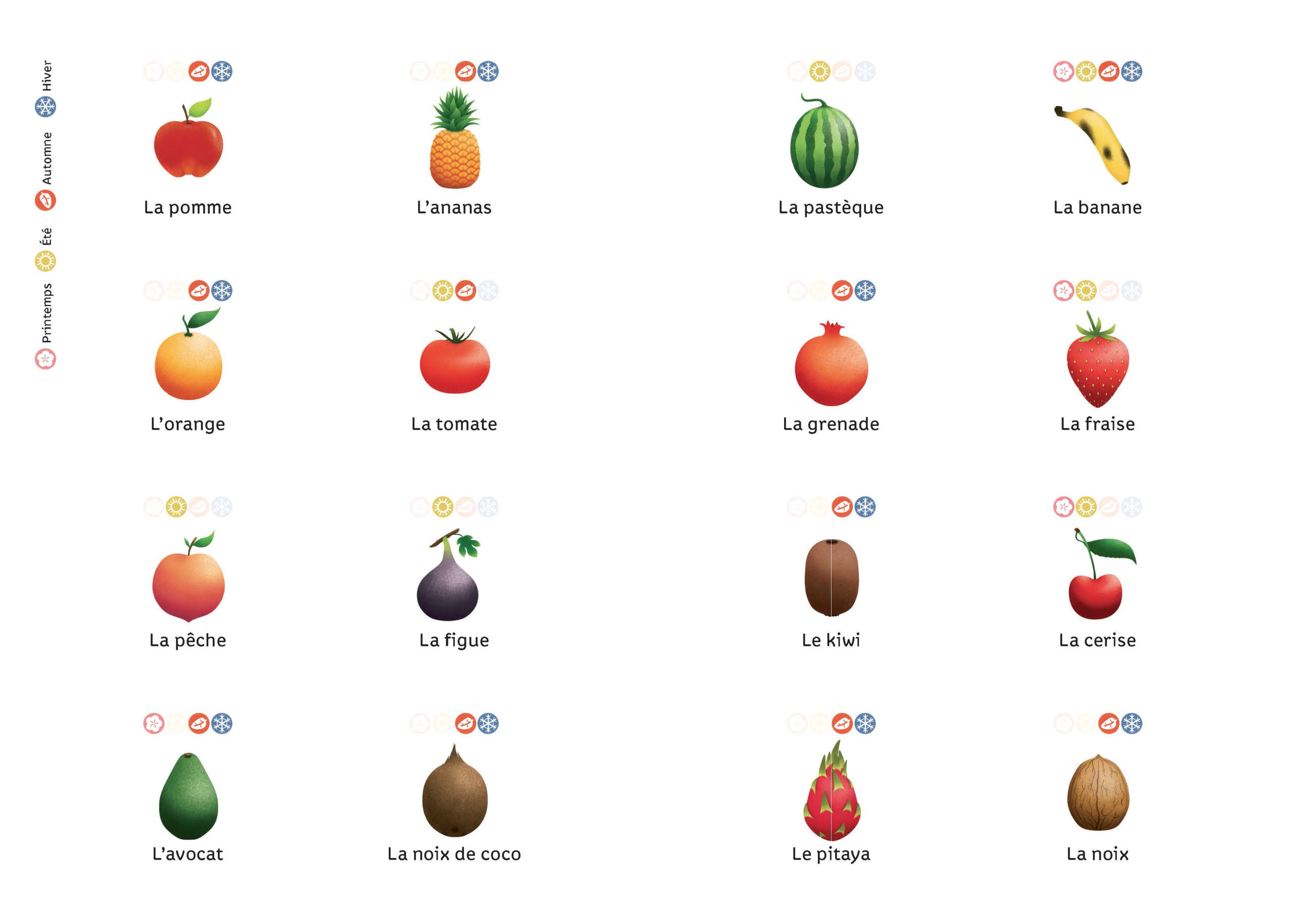 FRUITS DE SAISON