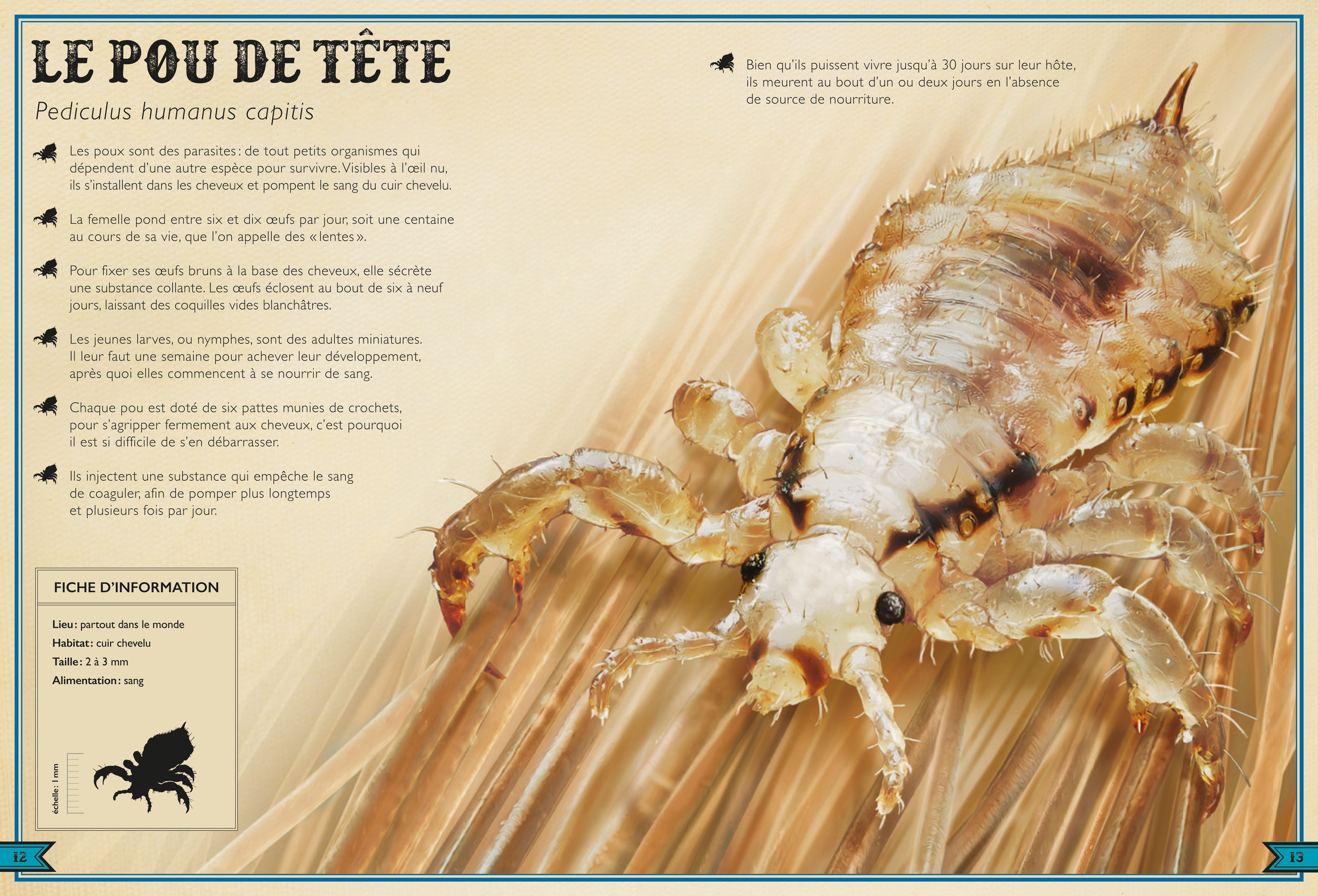 LE LIVRE EXTRAORDINAIRE DES CREATURES MICROSCOPIQUES