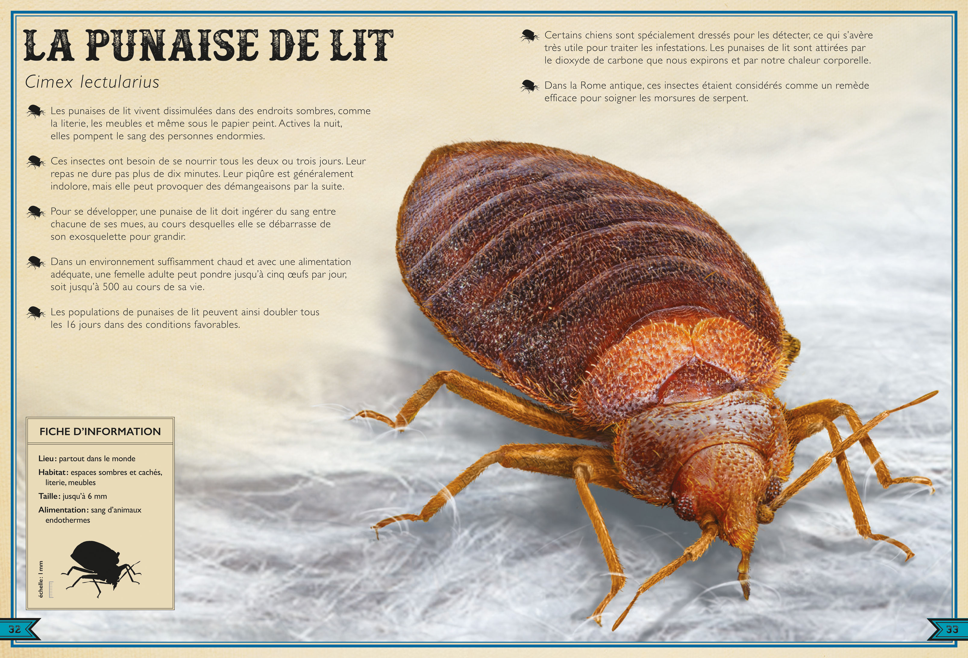 LE LIVRE EXTRAORDINAIRE DES CREATURES MICROSCOPIQUES