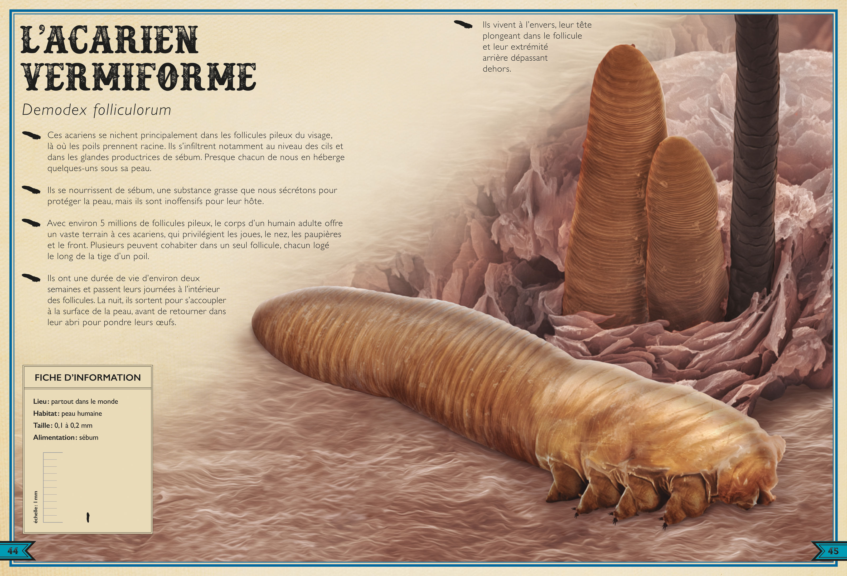 LE LIVRE EXTRAORDINAIRE DES CREATURES MICROSCOPIQUES