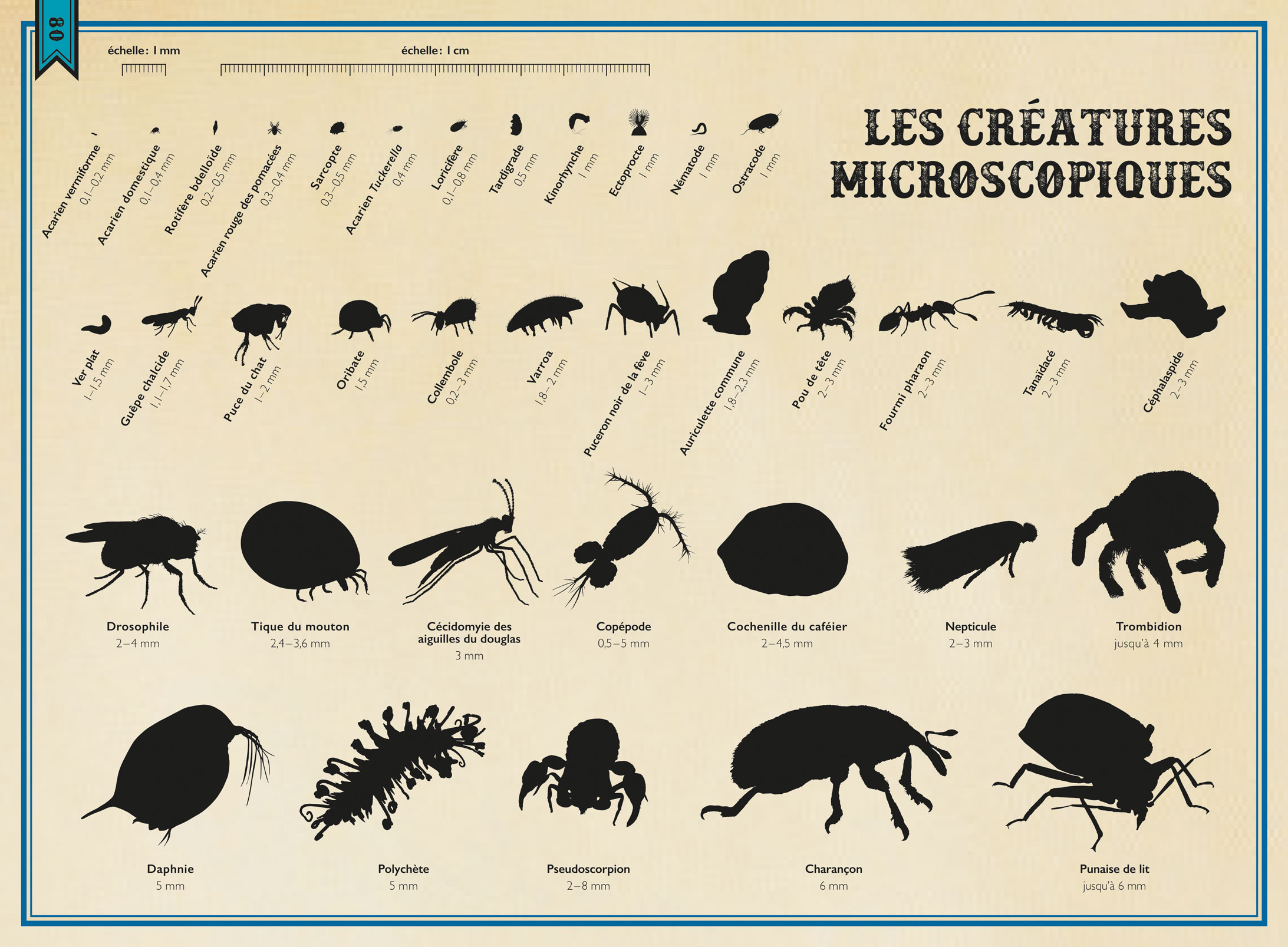 LE LIVRE EXTRAORDINAIRE DES CREATURES MICROSCOPIQUES