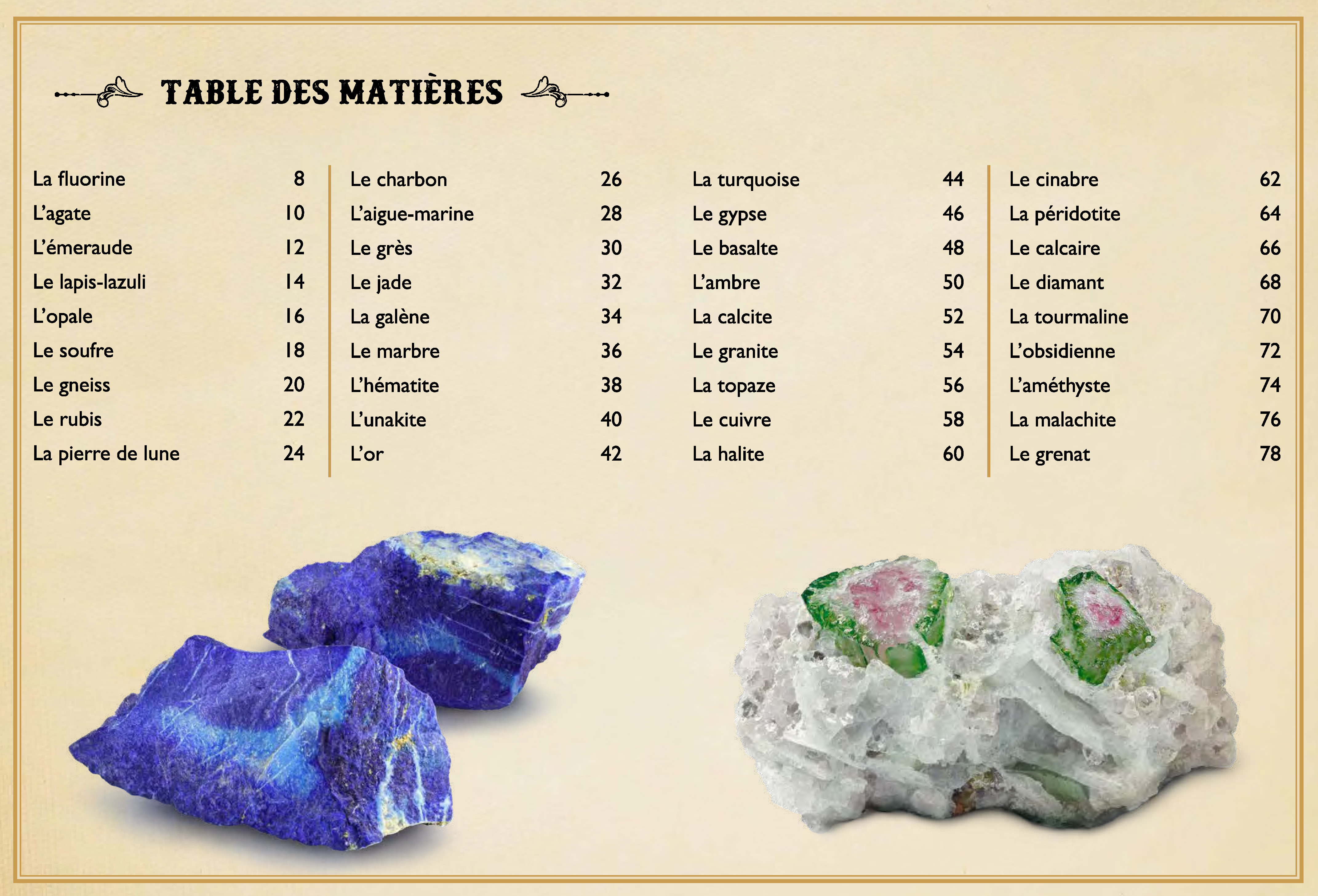 LE LIVRE EXTRAORDINAIRE DES PIERRES ET MINERAUX
