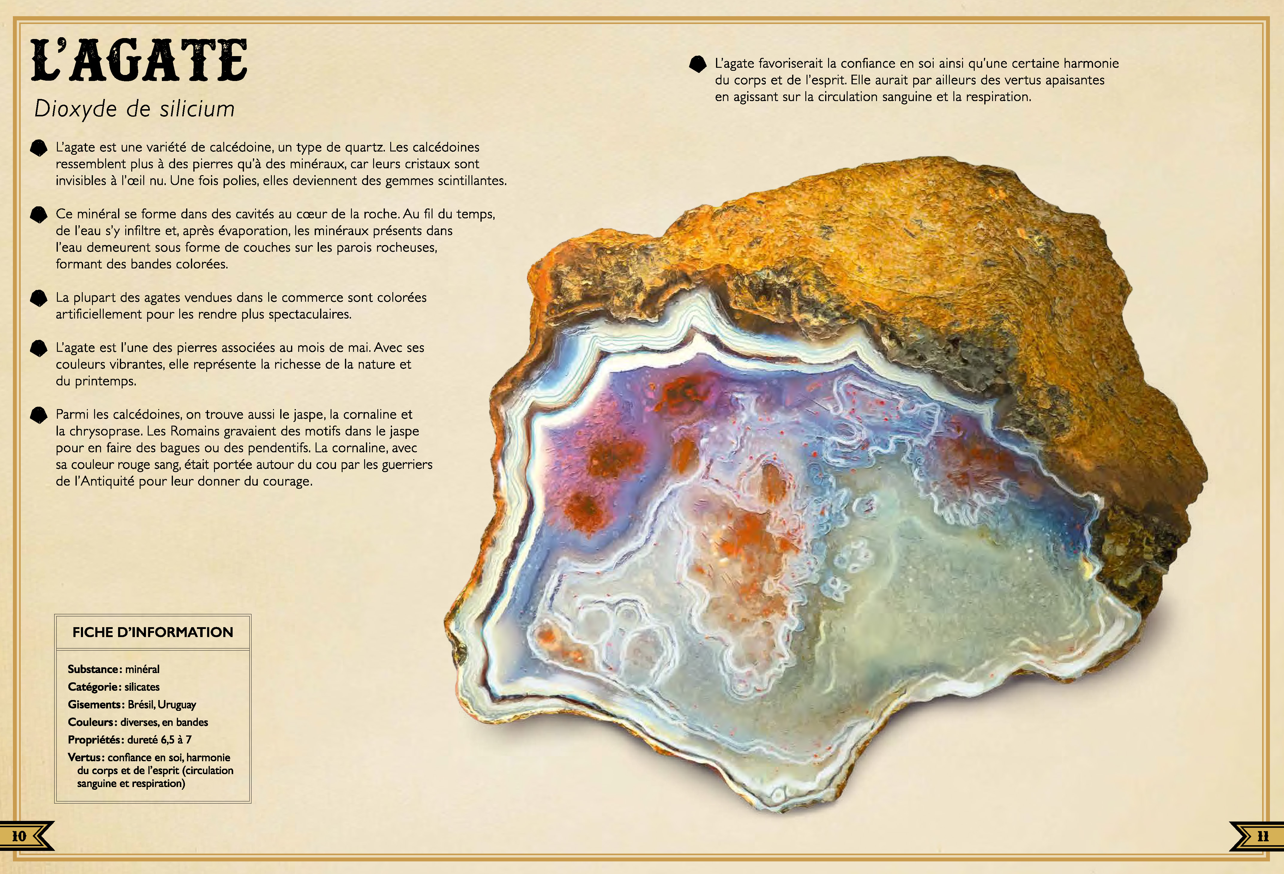 LE LIVRE EXTRAORDINAIRE DES PIERRES ET MINERAUX