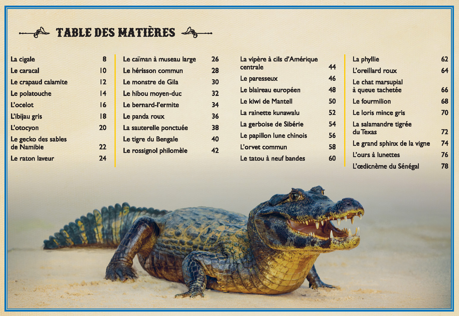 LE LIVRE EXTRAORDINAIRE DES ANIMAUX NOCTURNES