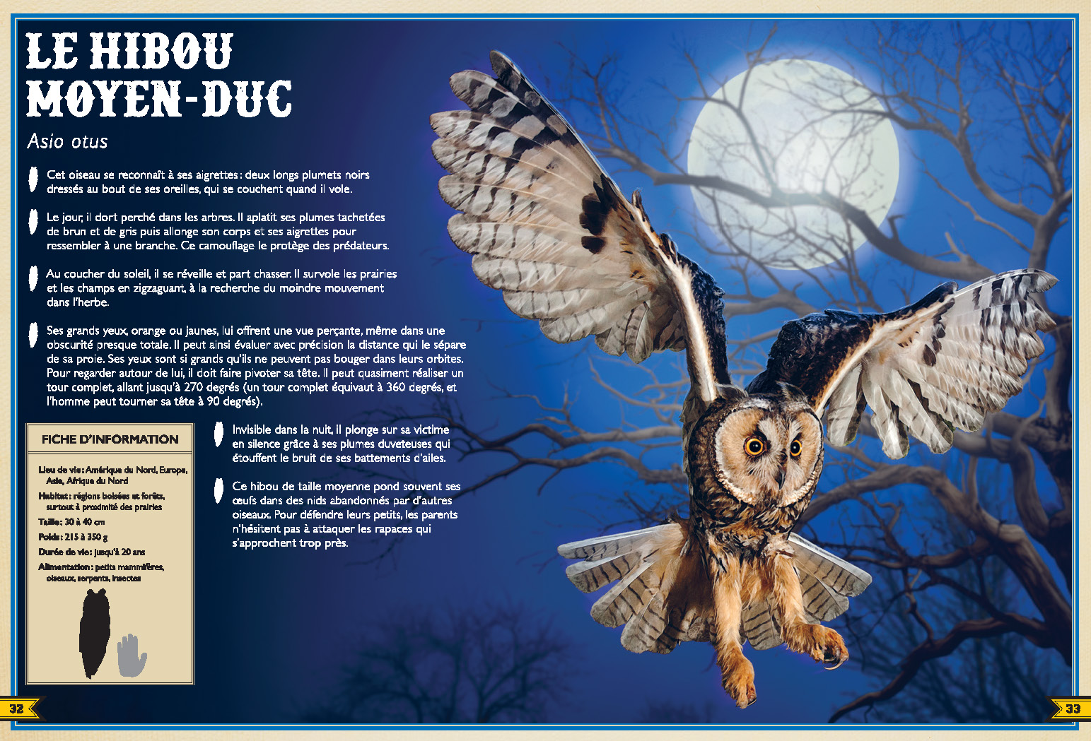 LE LIVRE EXTRAORDINAIRE DES ANIMAUX NOCTURNES