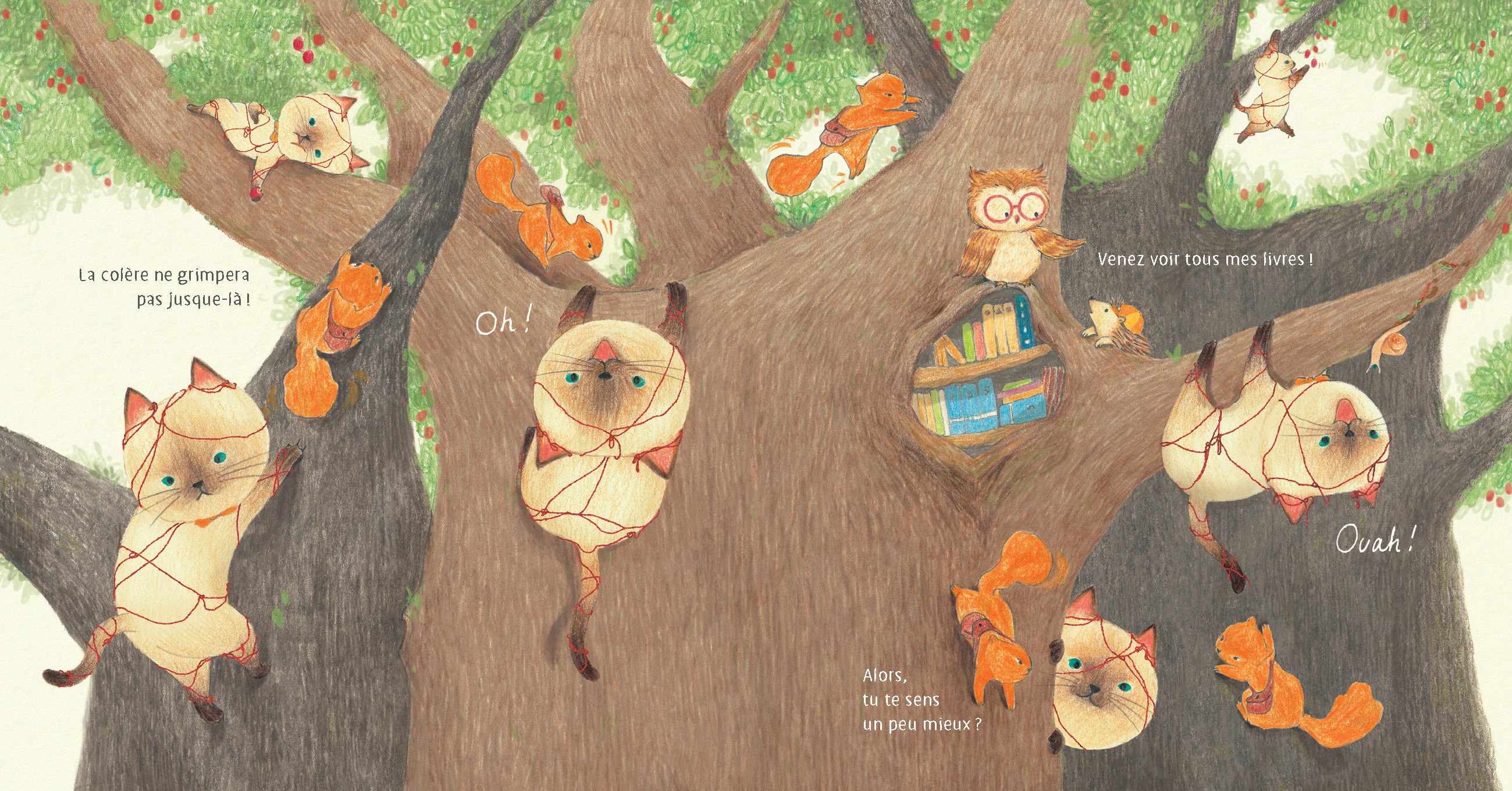 LE YOGA DU PETIT CHAT