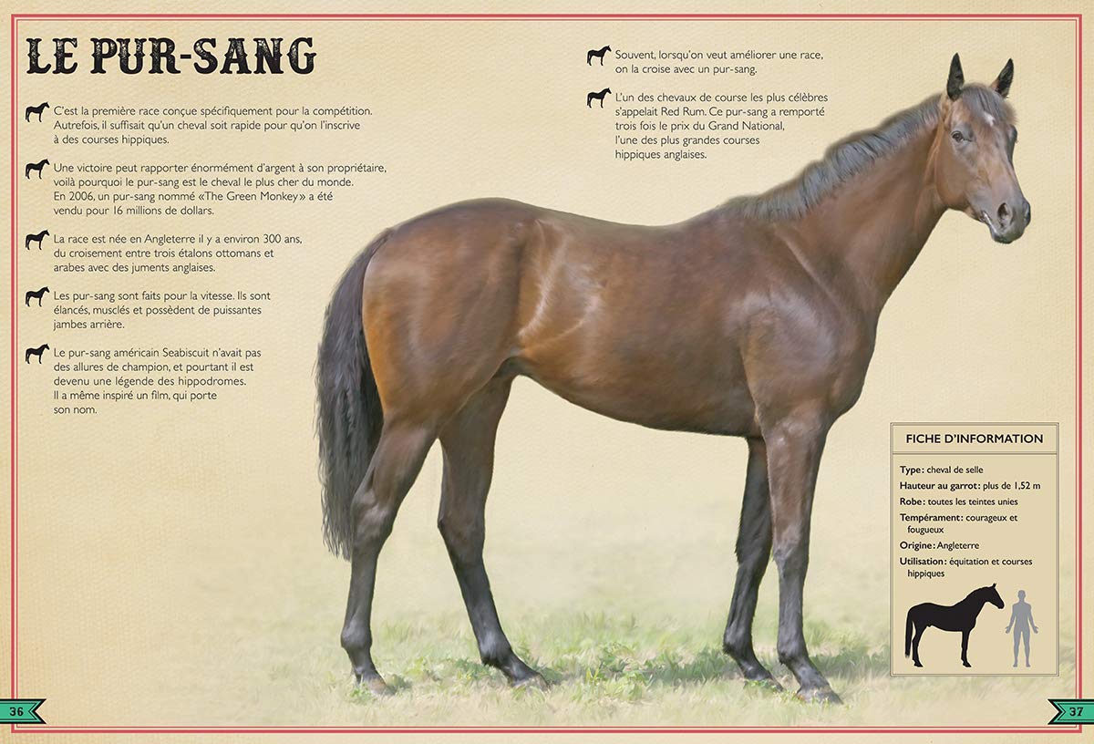 LE LIVRE EXTRAORDINAIRE DES CHEVAUX