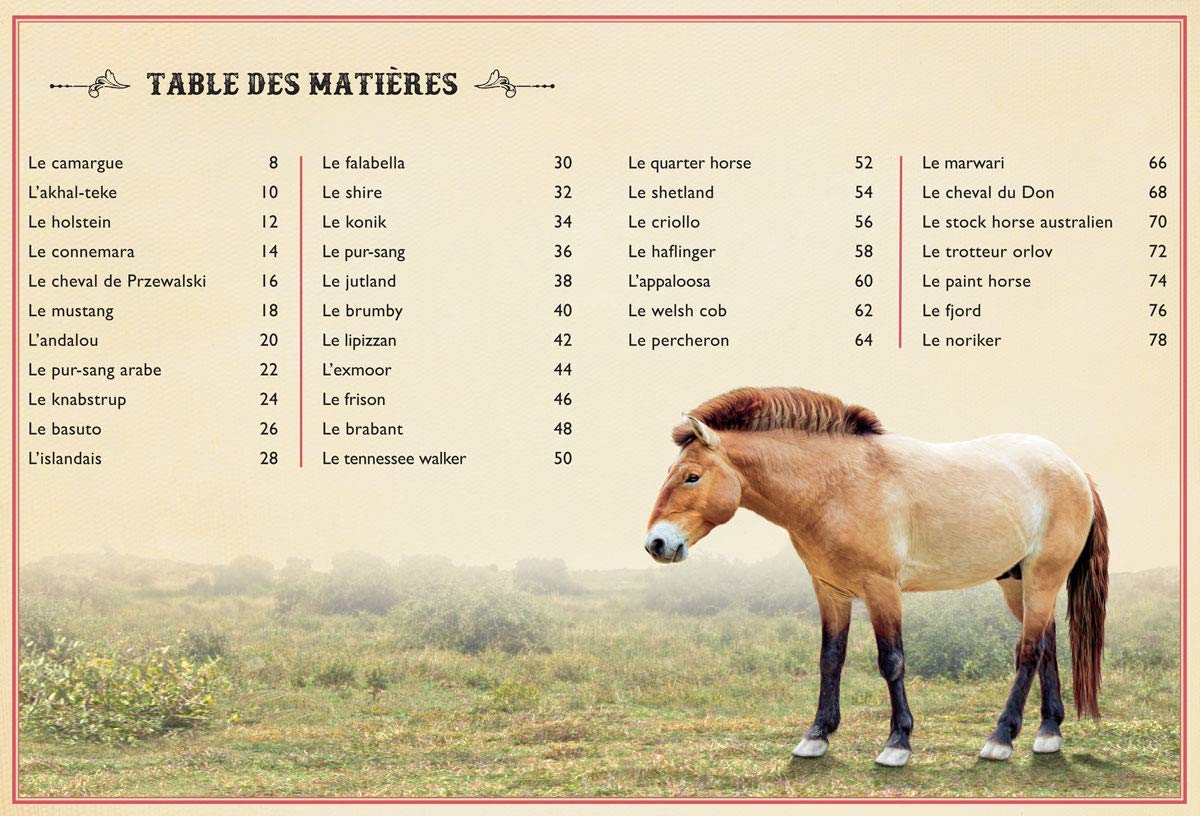 LE LIVRE EXTRAORDINAIRE DES CHEVAUX