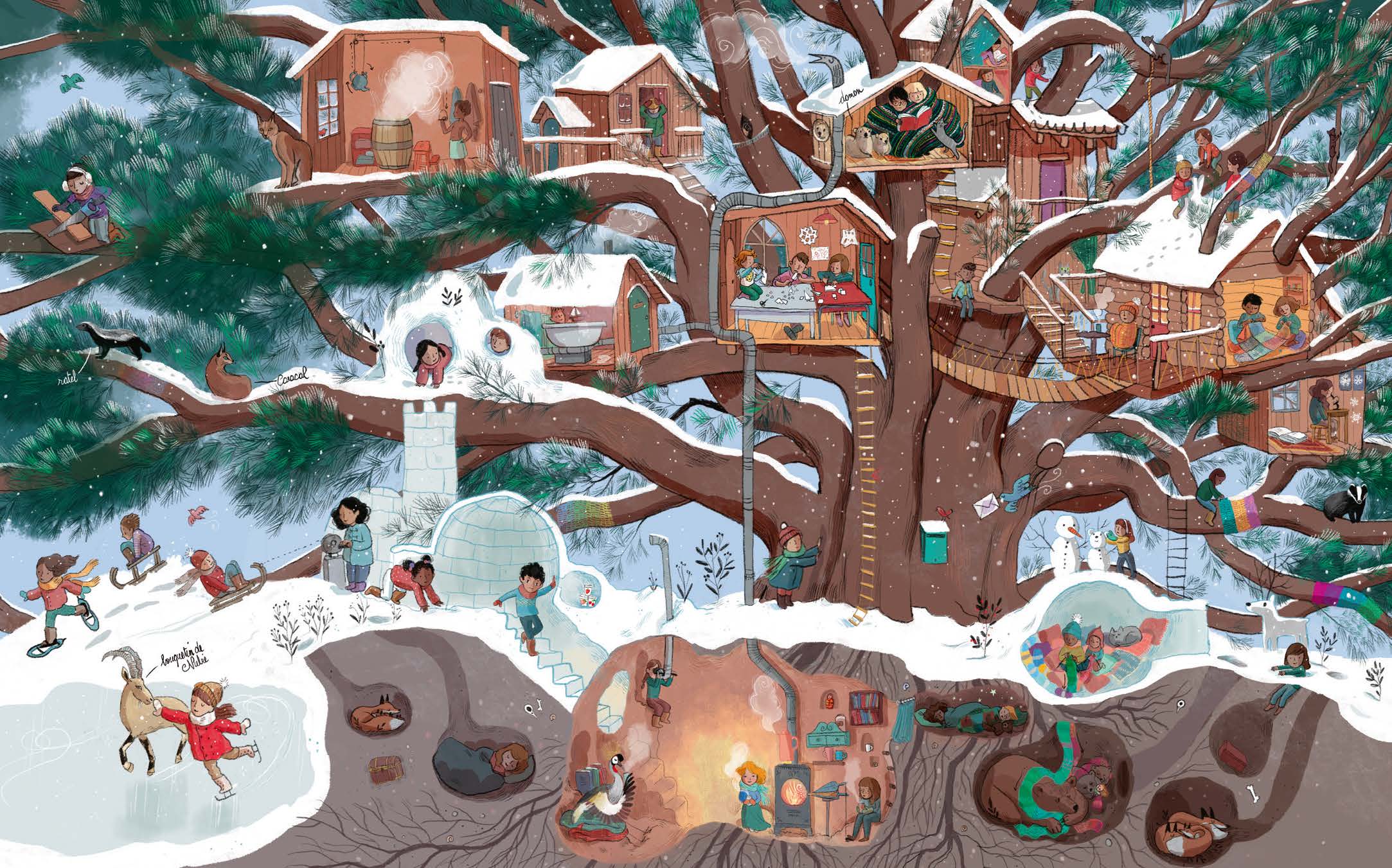 LE CONCOURS DE CABANES LE CONCOURS DE CABANES