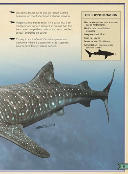 LE LIVRE EXTRAORDINAIRE DES REQUINS