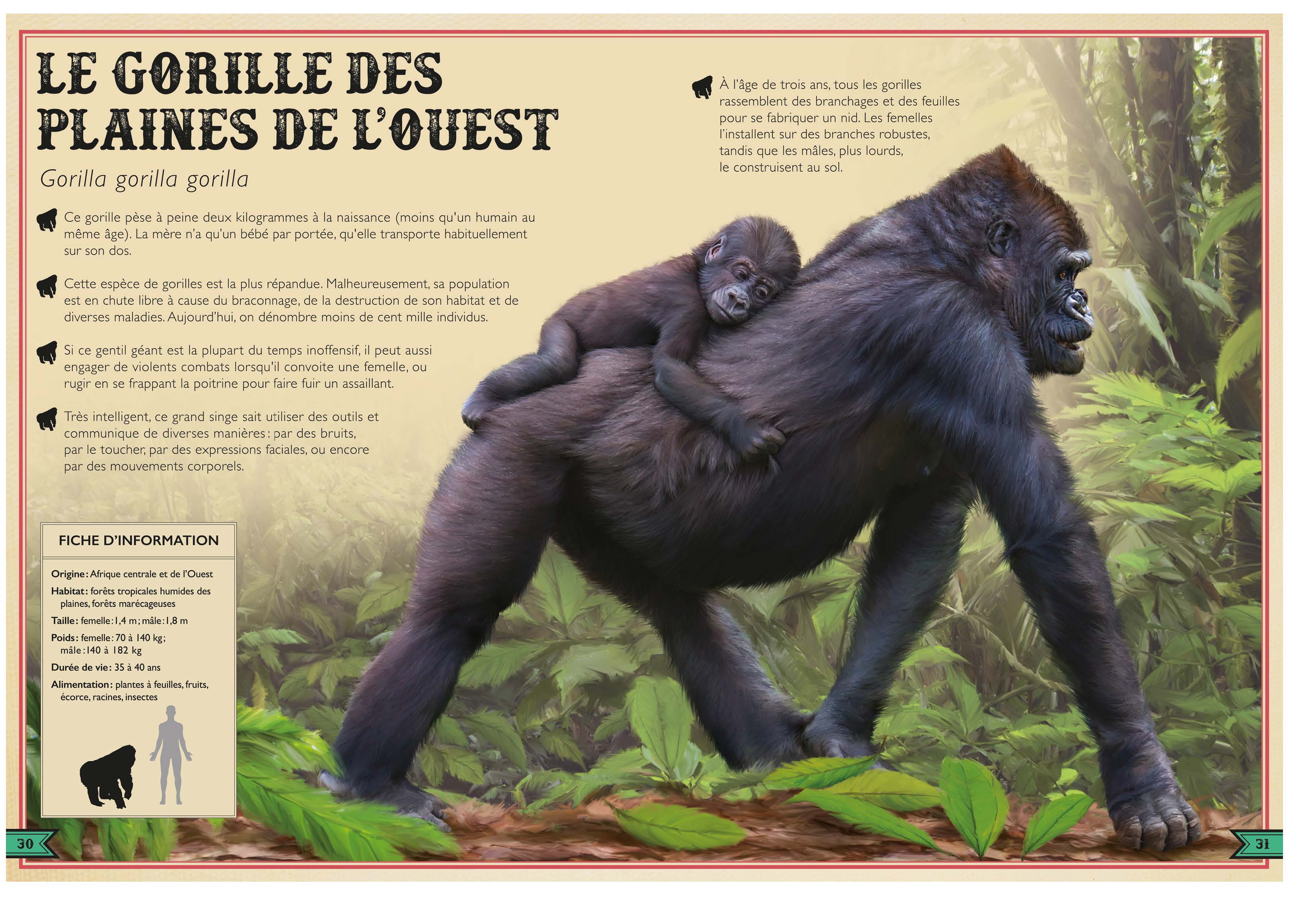 LE LIVRE EXTRAORDINAIRE DES SINGES