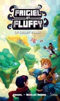 Voir les images