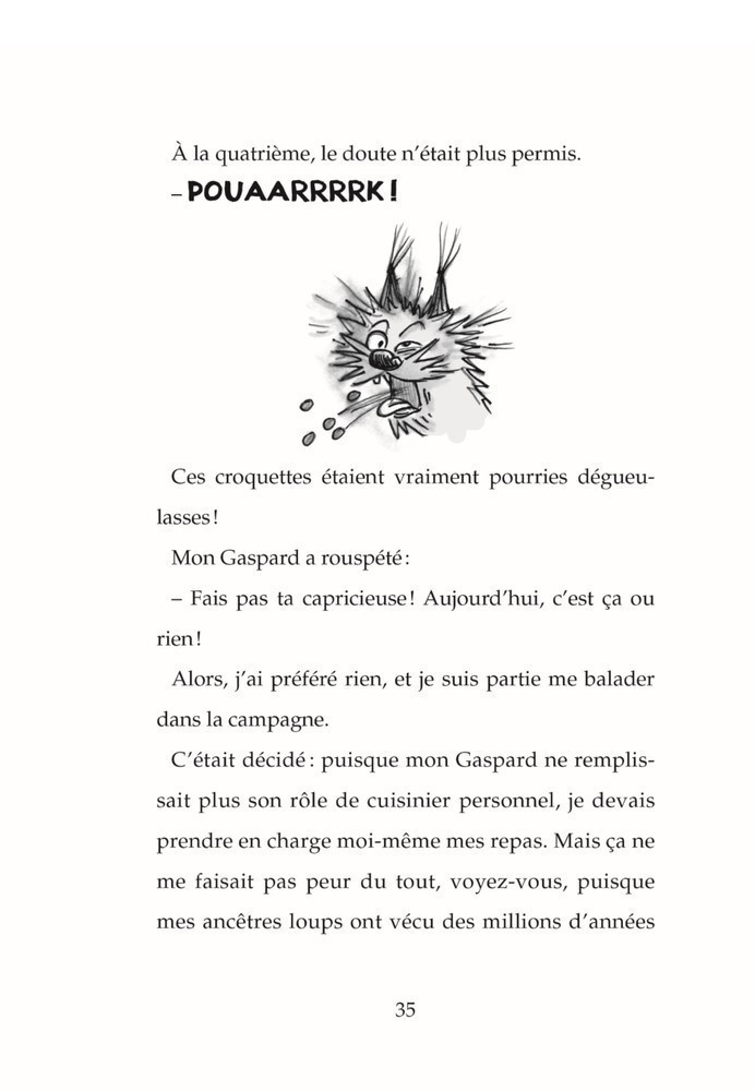 LE JOURNAL DE GURTY T4 (PRINTEMPS DE CHIEN)