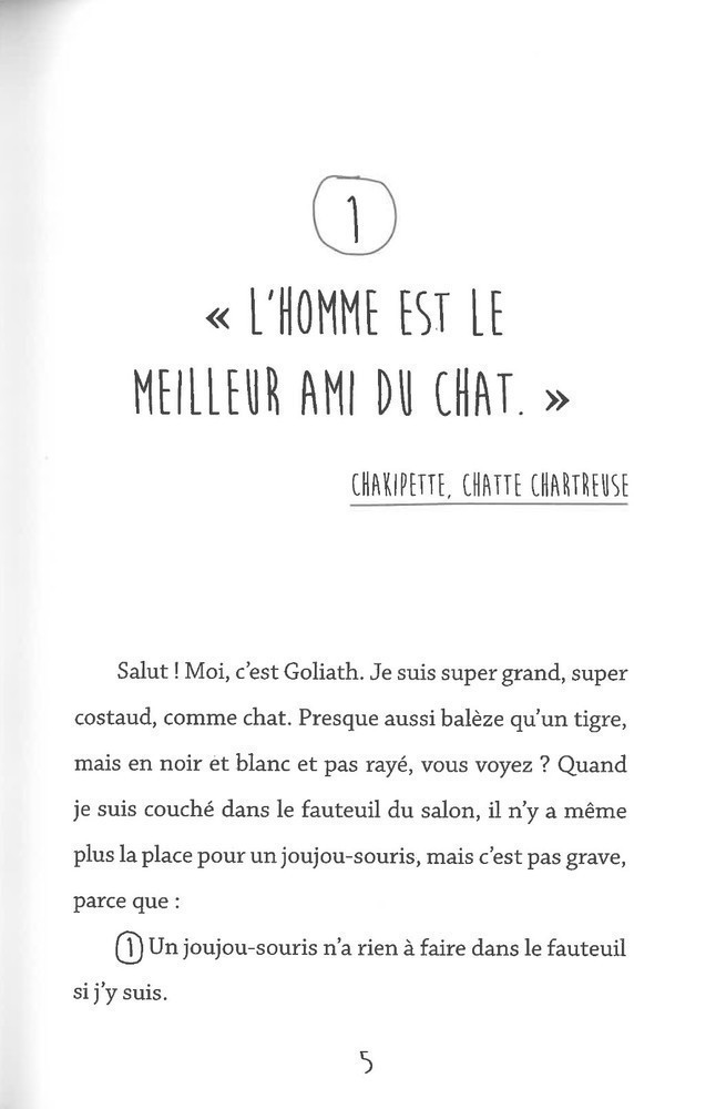 GOLIATH CHAT PIRATE (NOS AMIES LES SALES BETES T3)