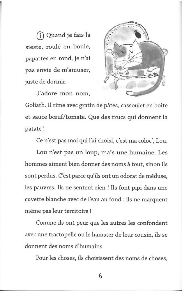 GOLIATH CHAT PIRATE (NOS AMIES LES SALES BETES T3)