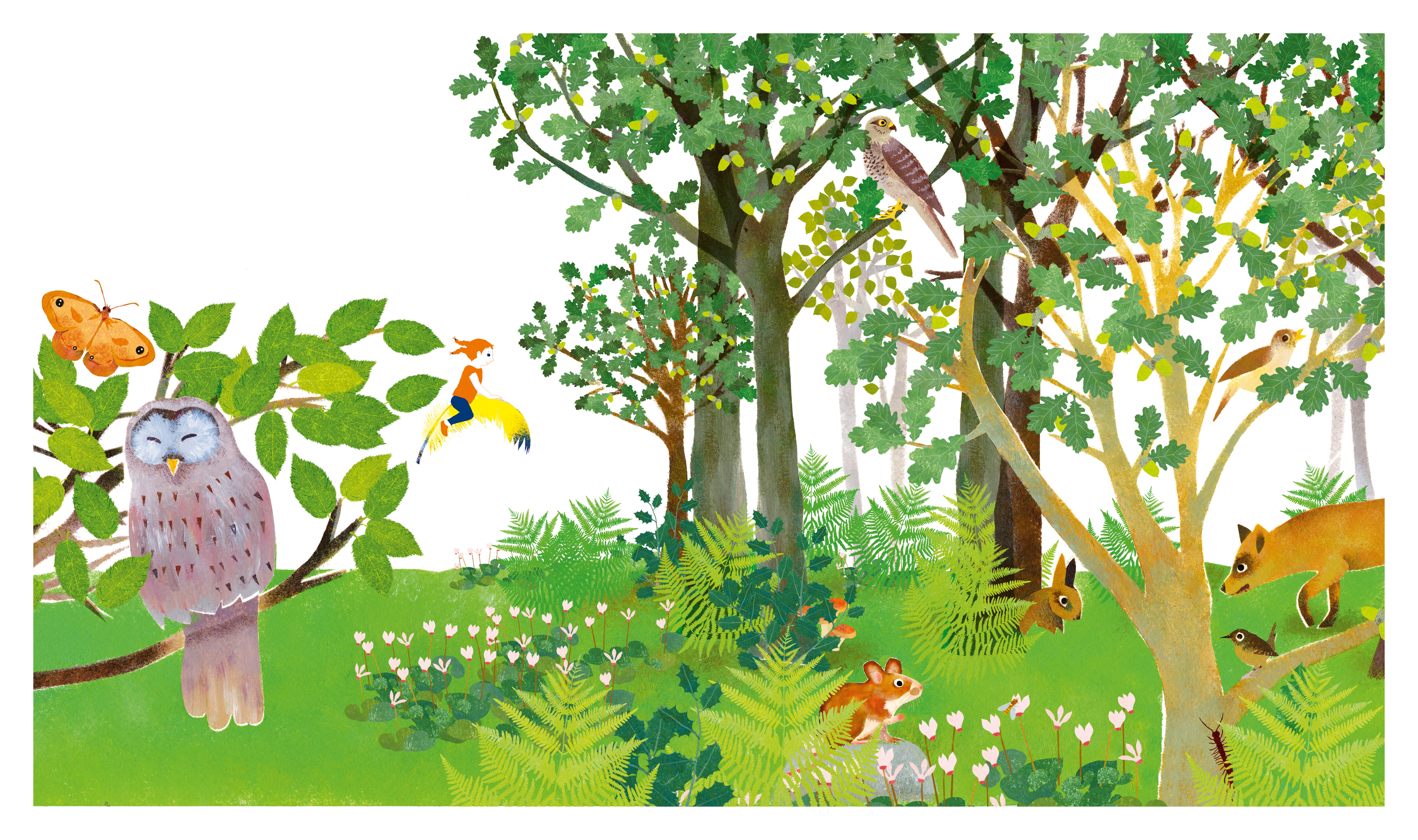 KAMISHIBAI MON GRAND VOYAGE